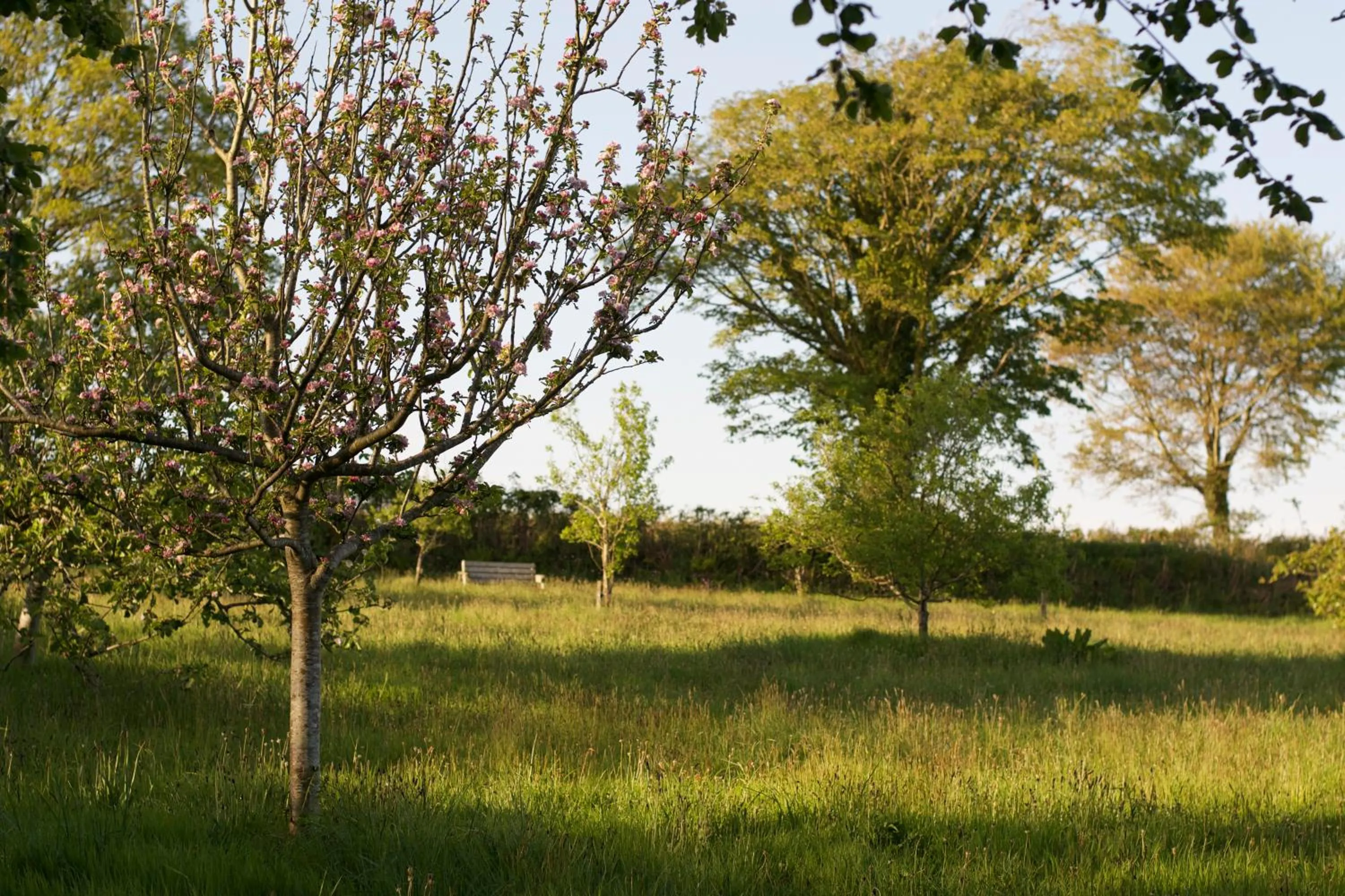 Holwell Holistic Retreat