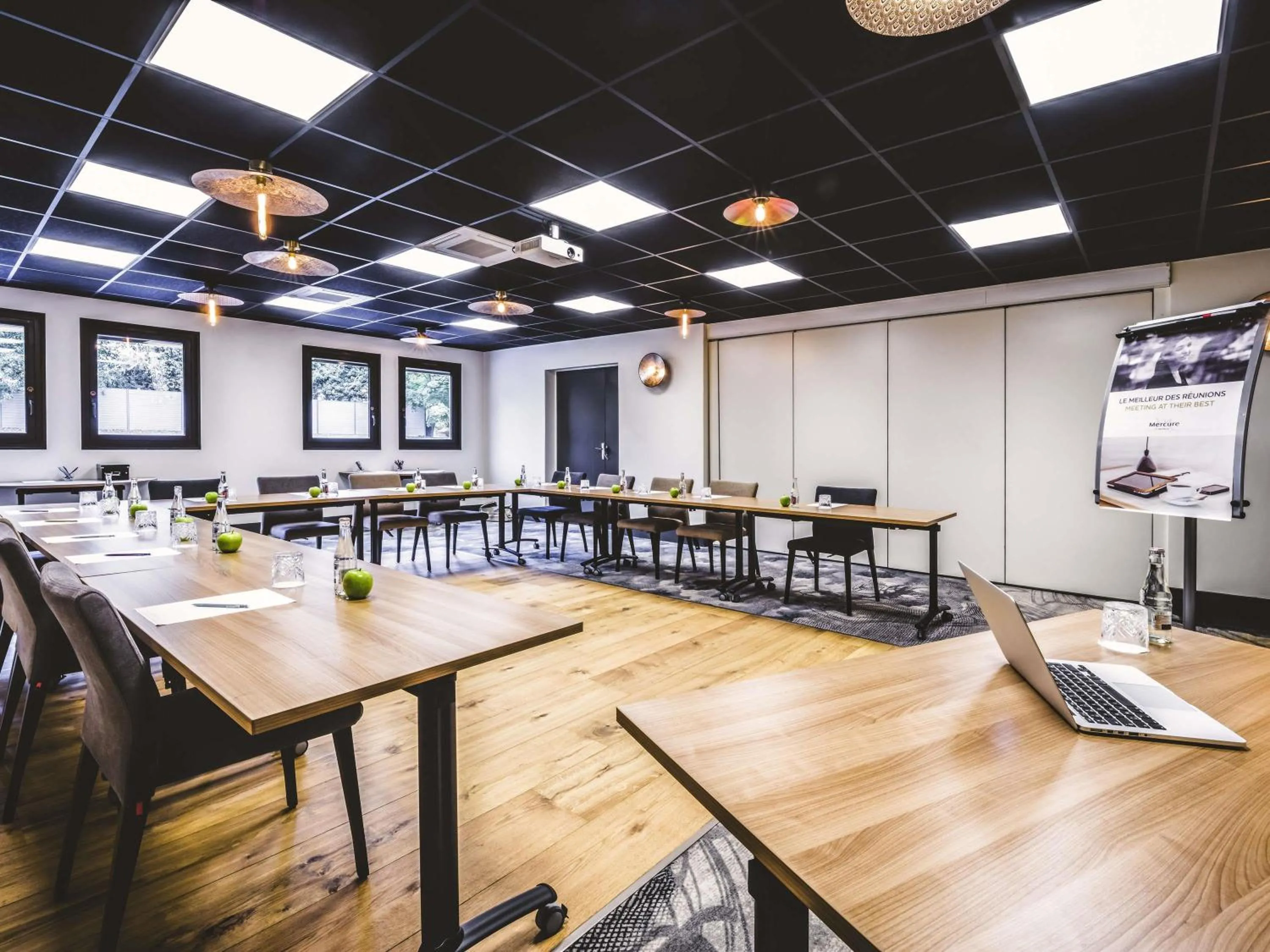 Business facilities in Mercure Pau Palais des Sports