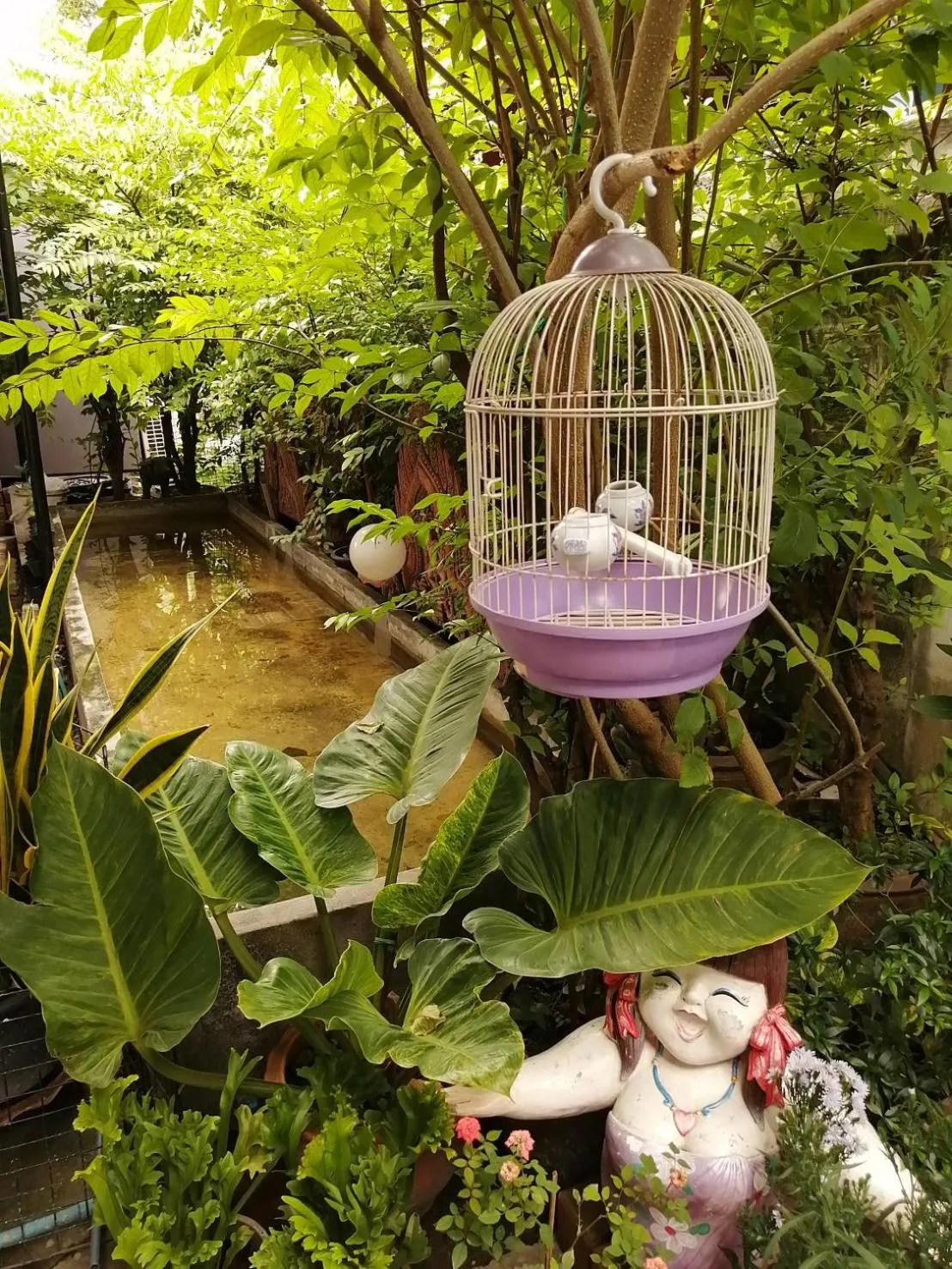 Property building in airport house