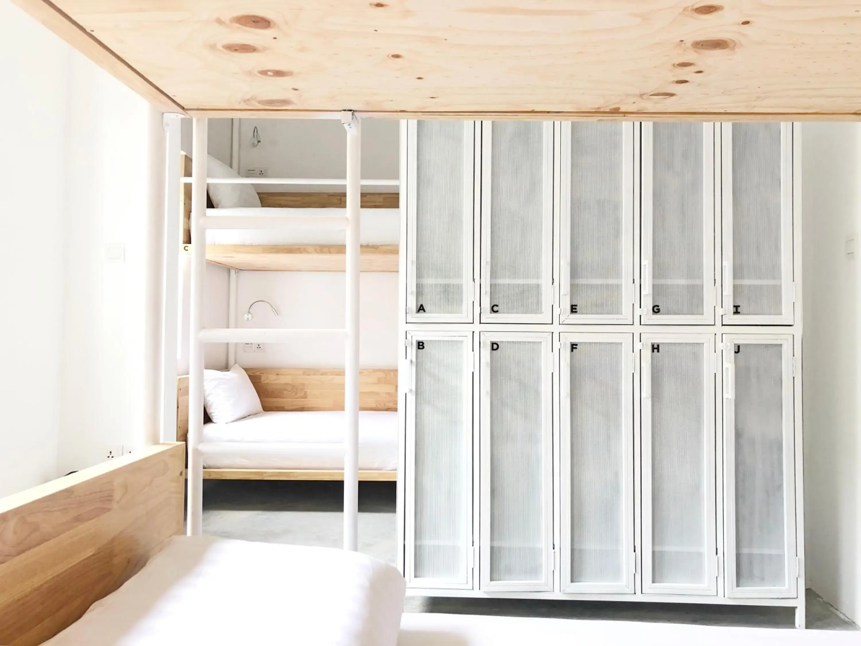 Photo of the whole room, Bed in HOOD Hostel Photo of the whole room, Bed in HOOD Hostel