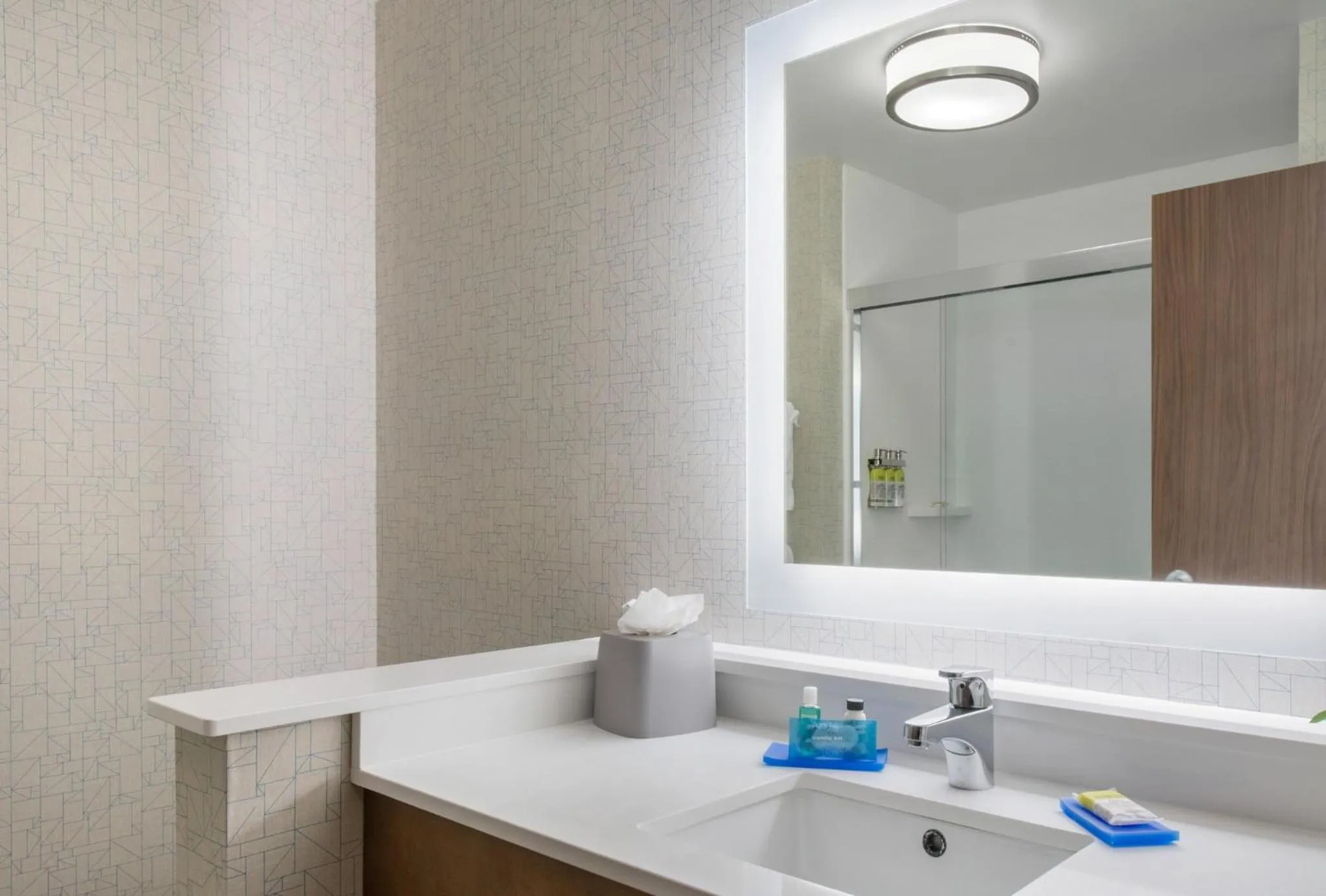 Bathroom in Holiday Inn Express & Suites - Ruskin by IHG