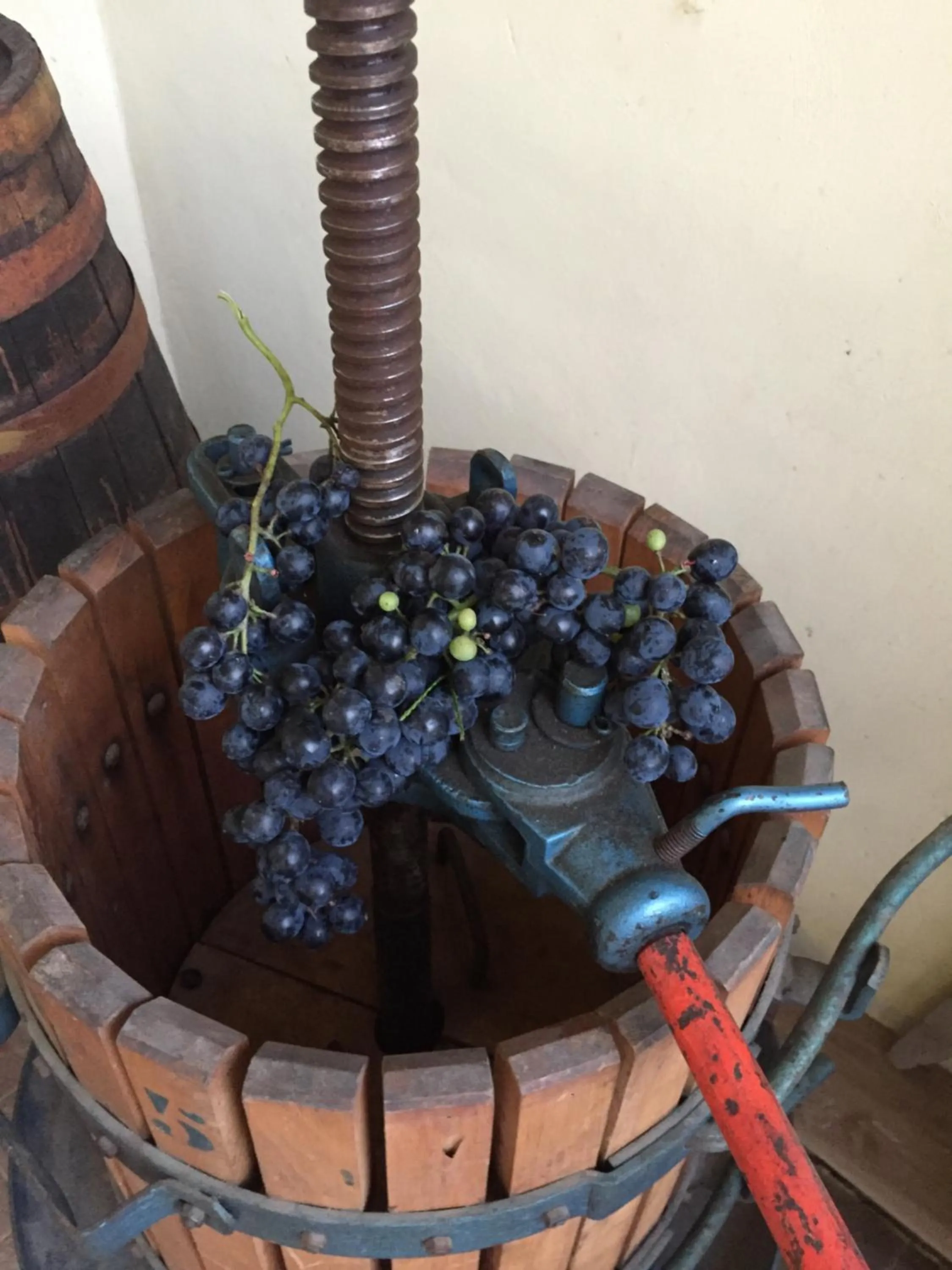 Activities in Oca Carolina