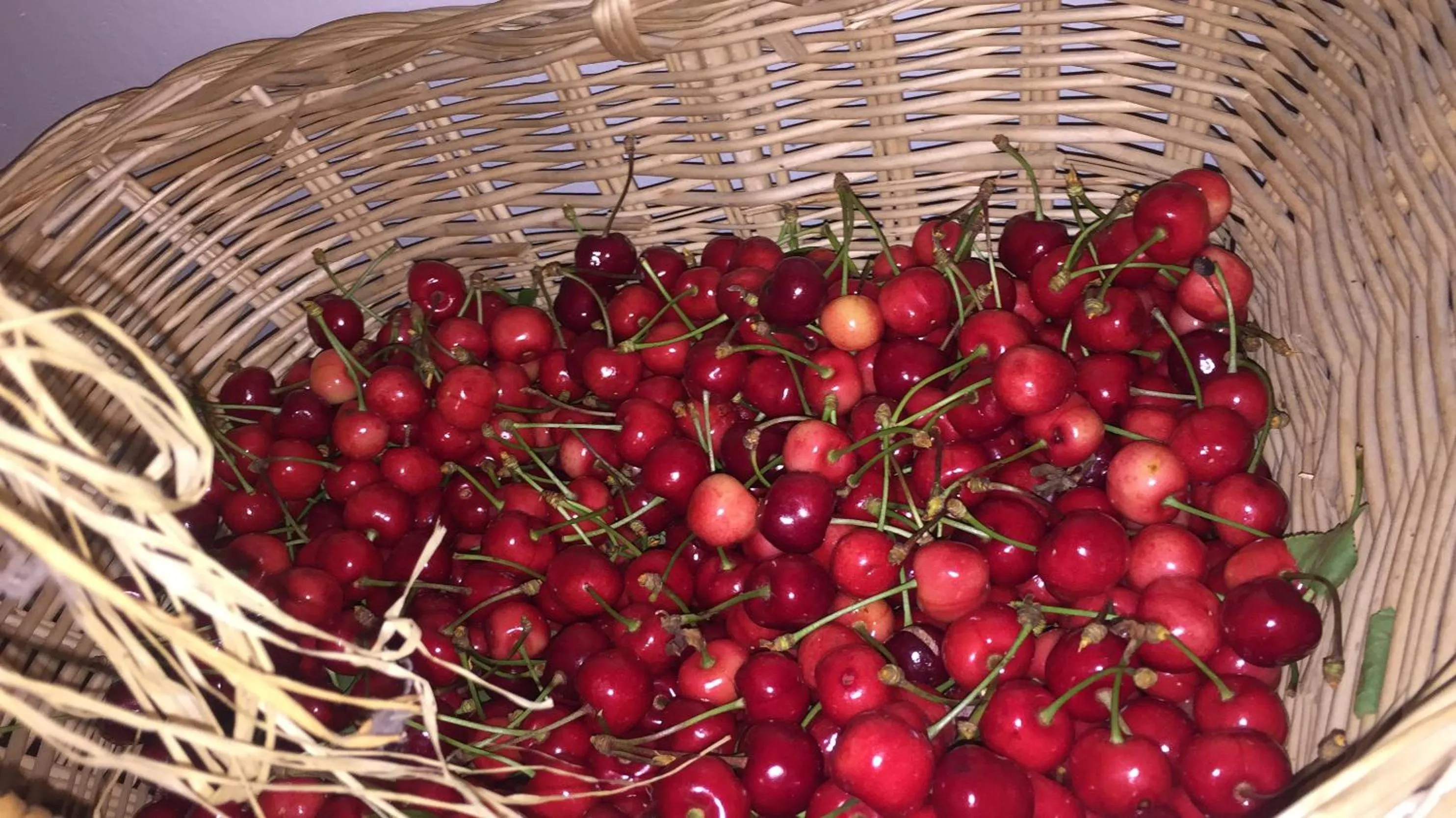 Food in Oca Carolina