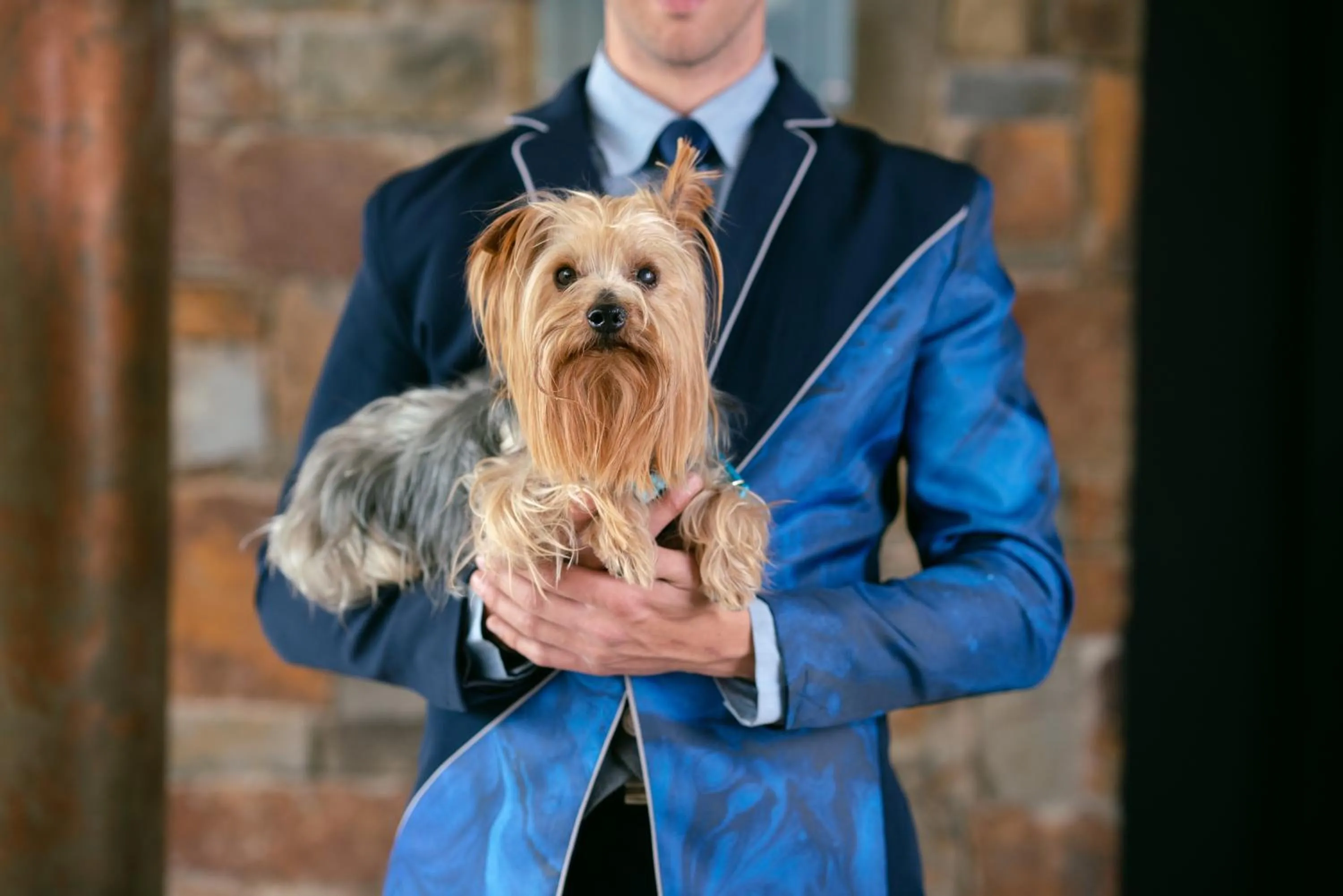 Staff in Seven Villa Hotel & Spa