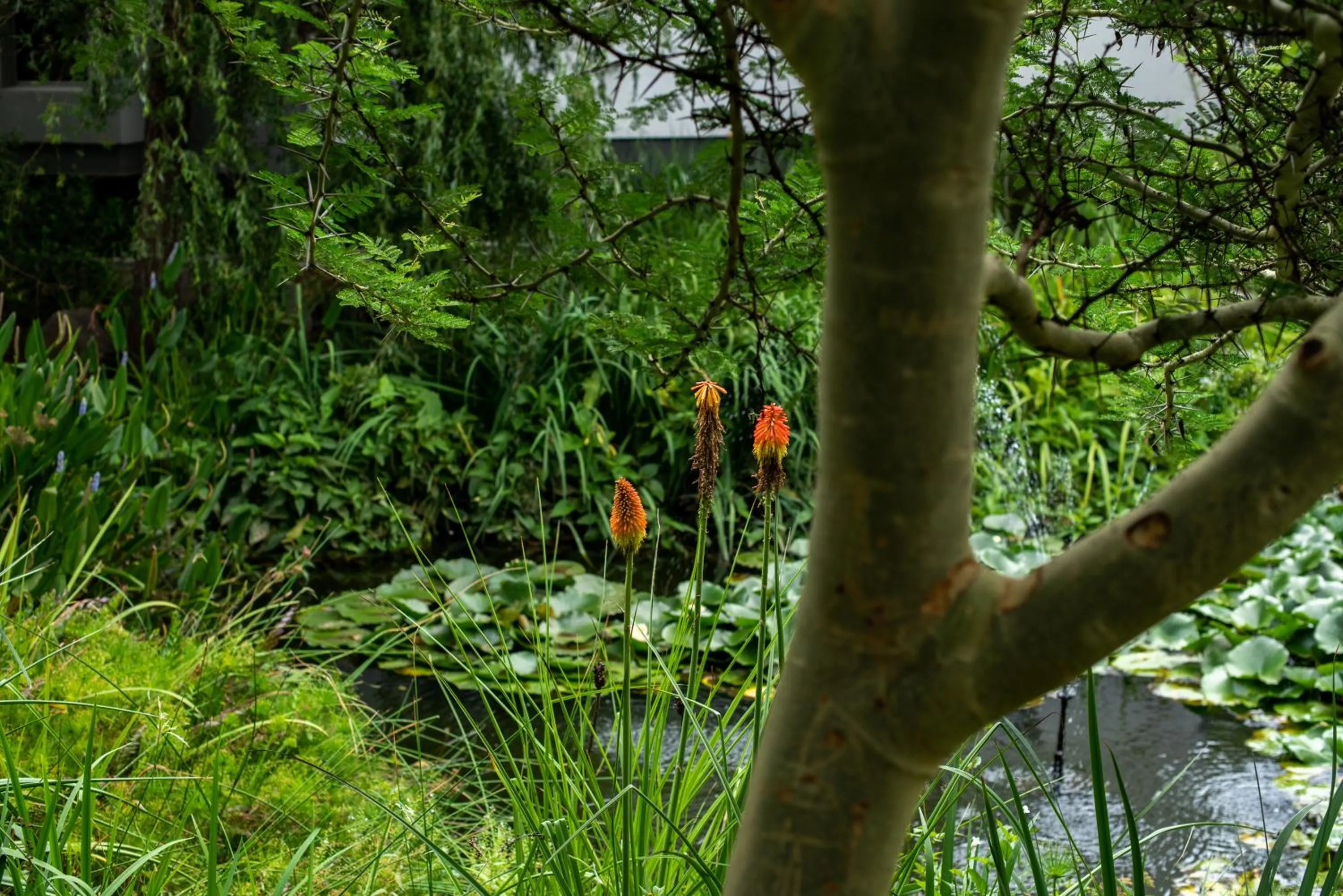 Garden in Seven Villa Hotel & Spa