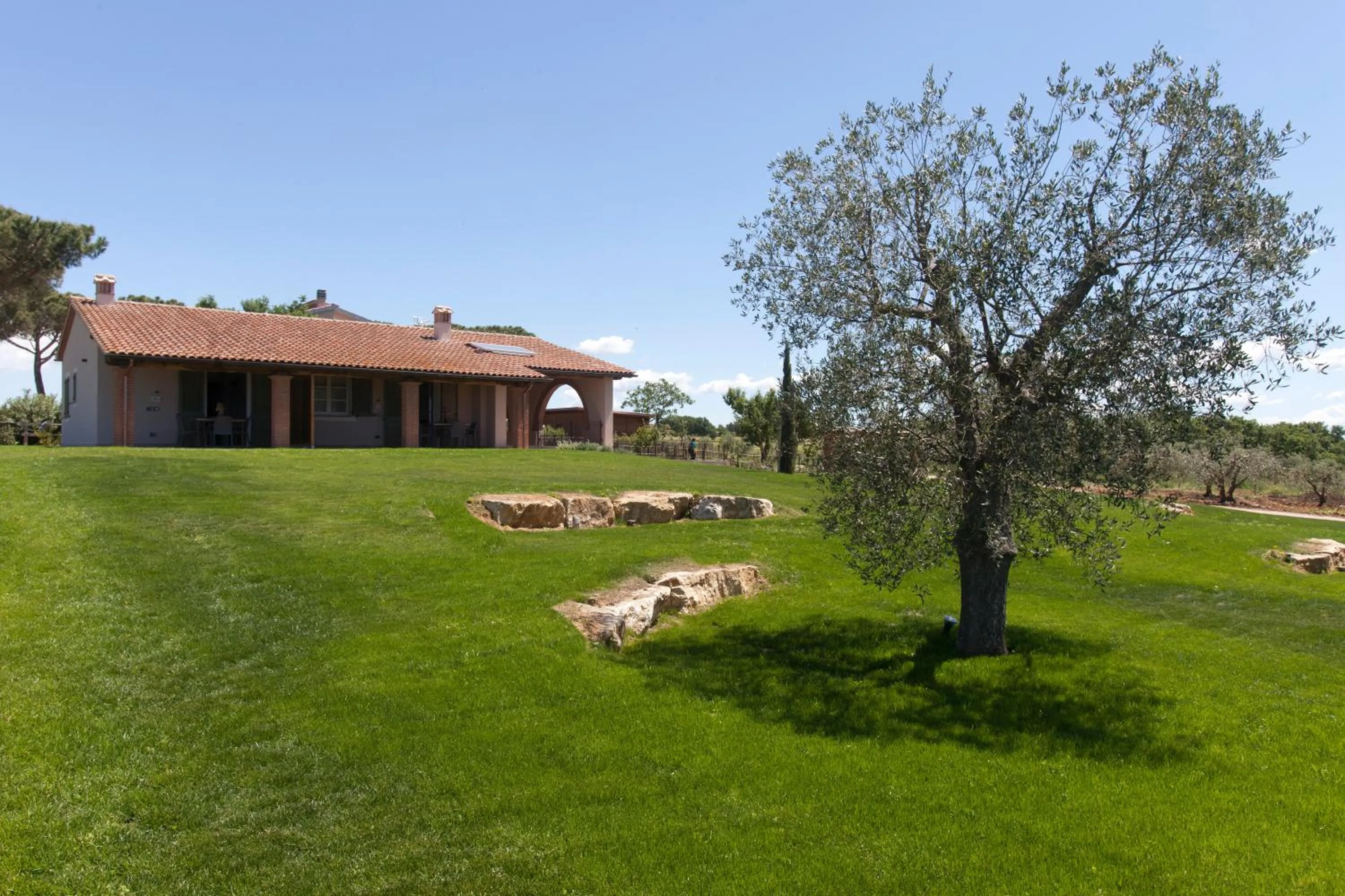 Agriturismo Colle Oliveto