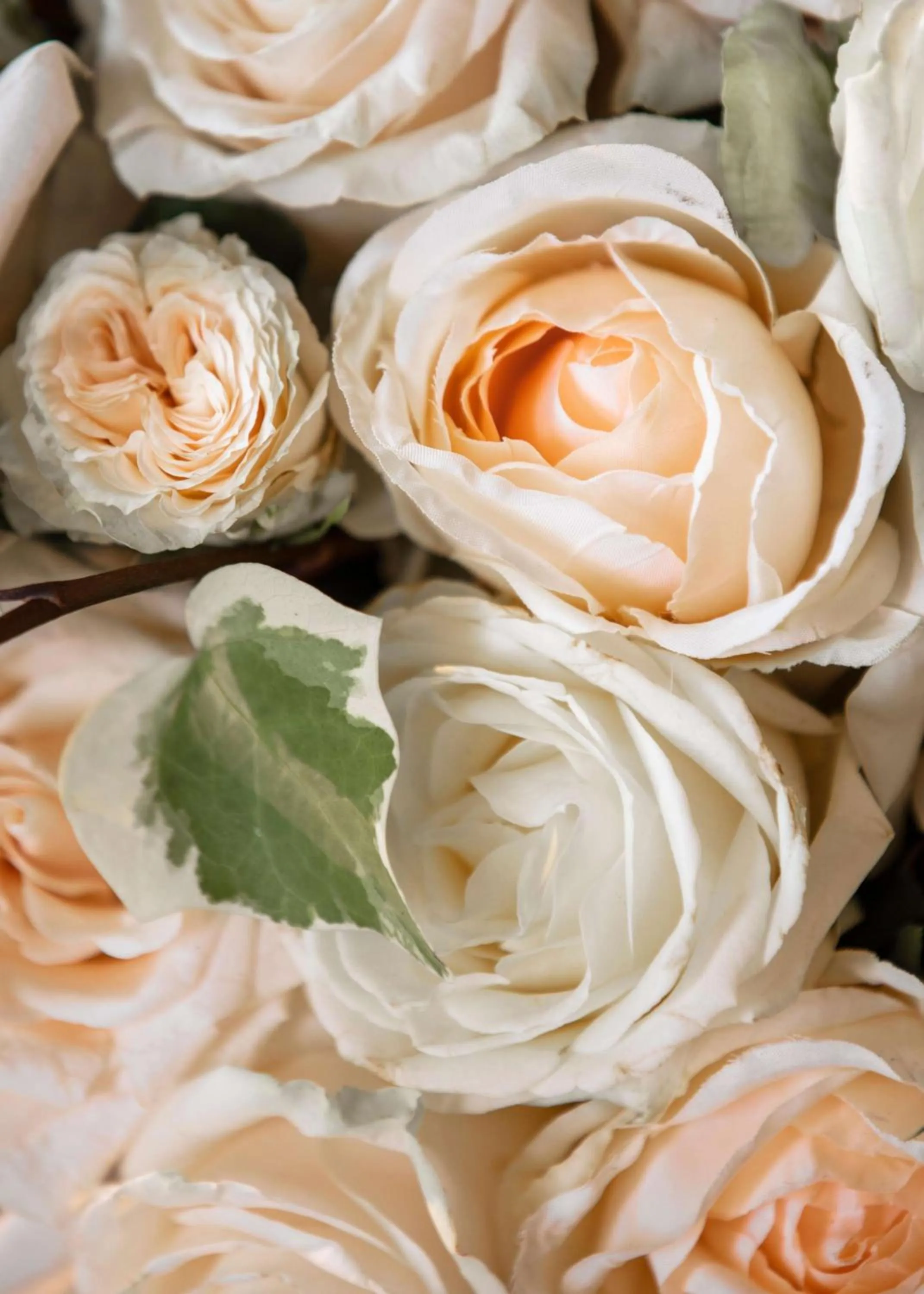 wedding in One&Only Portonovi