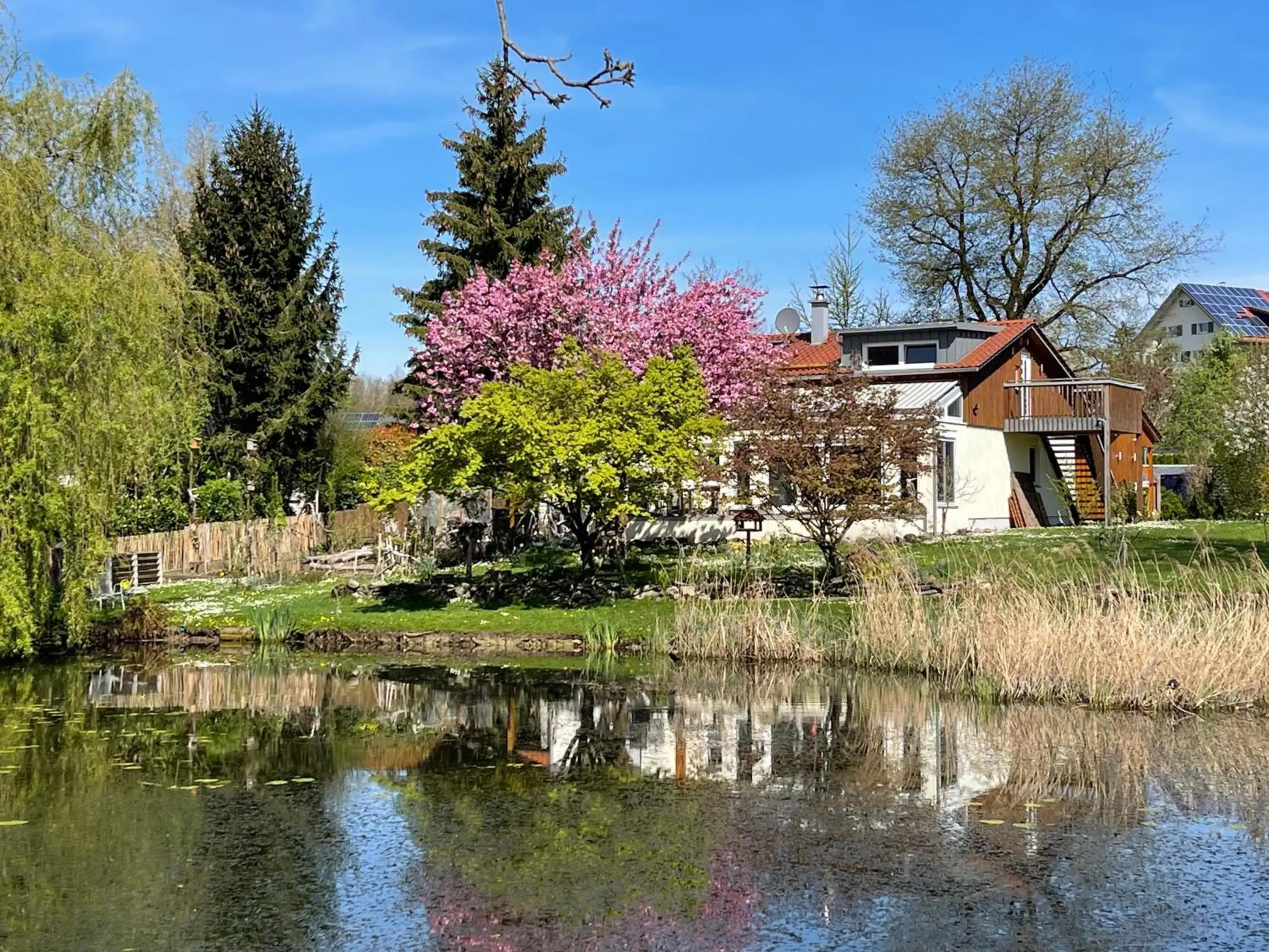 Ferienwohnung Mollenberg Ferienwohnung Mollenberg