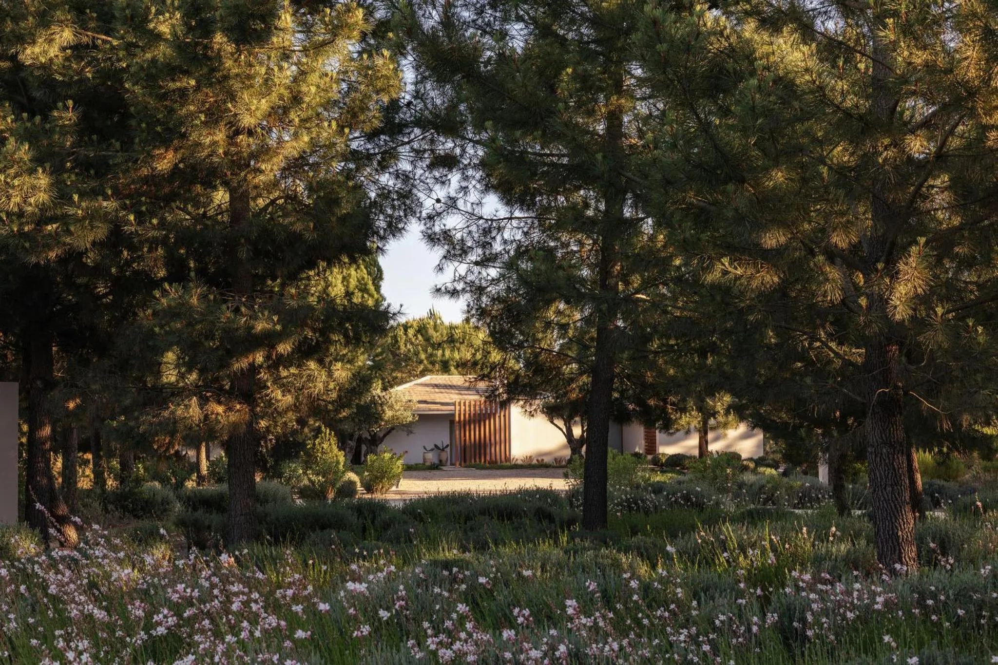 Garden in Spatia Comporta