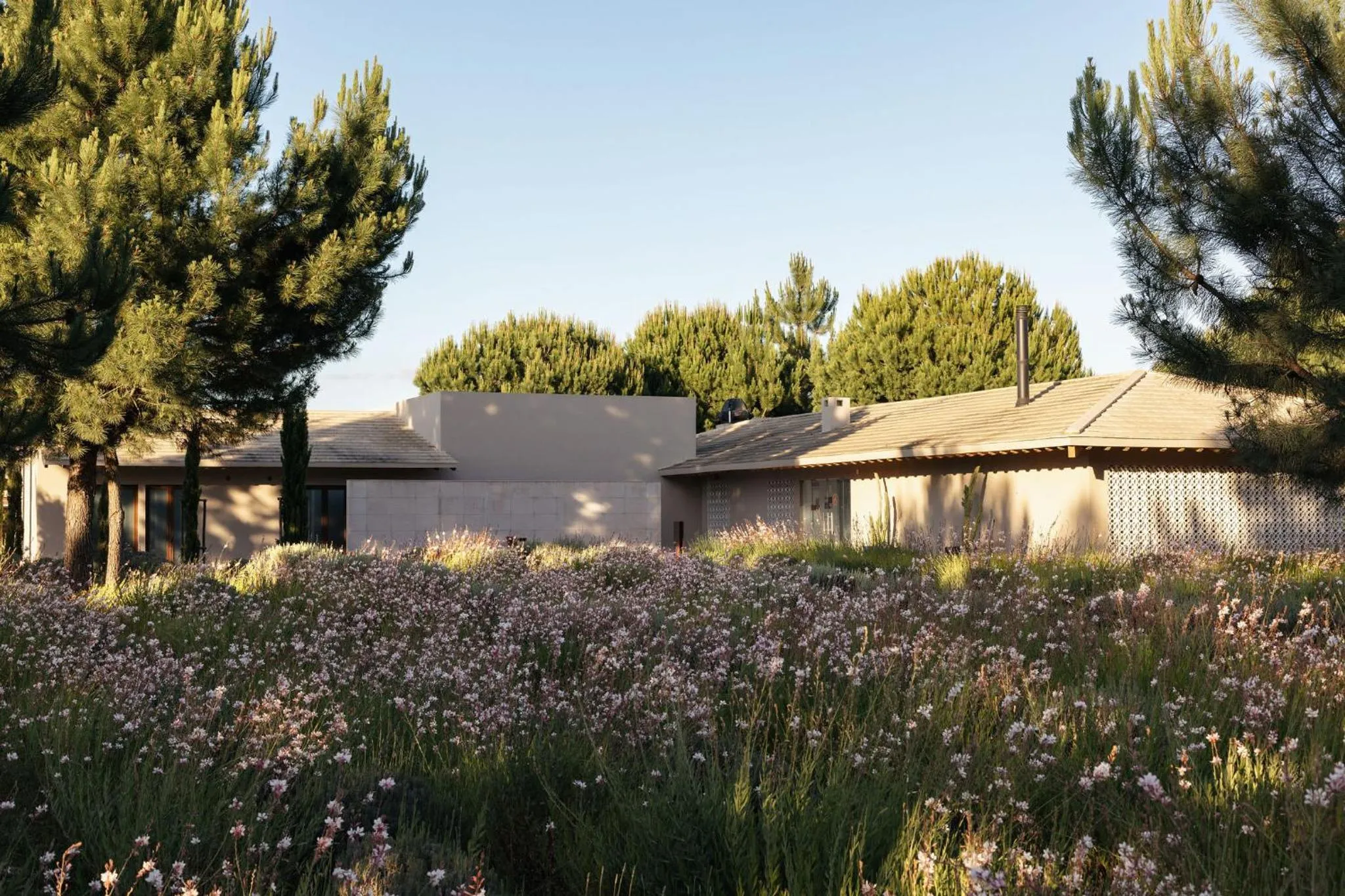 Garden view in Spatia Comporta