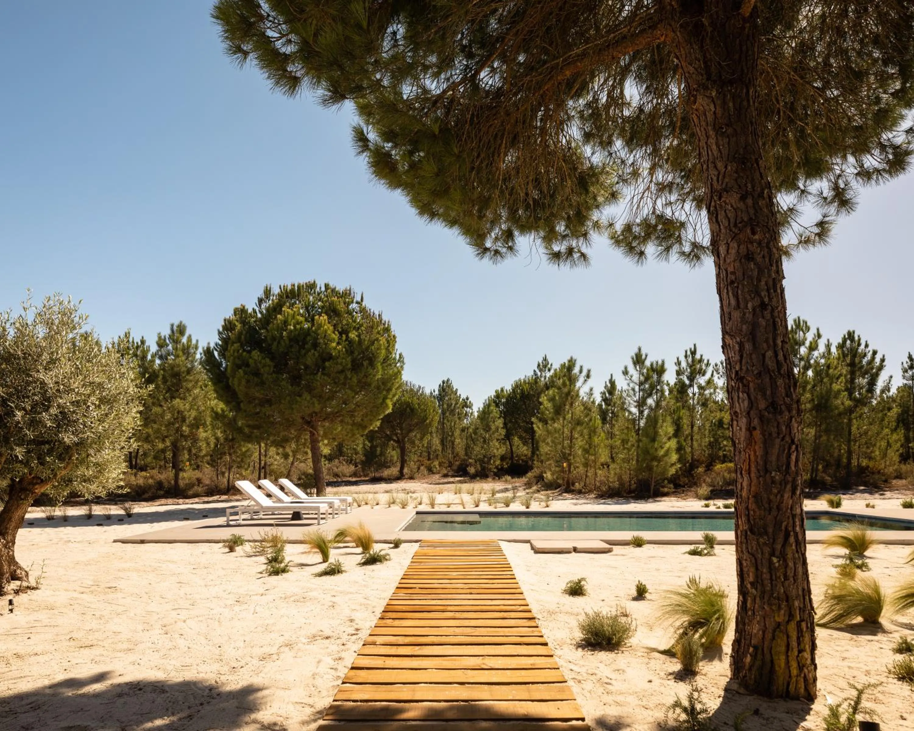 Swimming pool in Spatia Comporta
