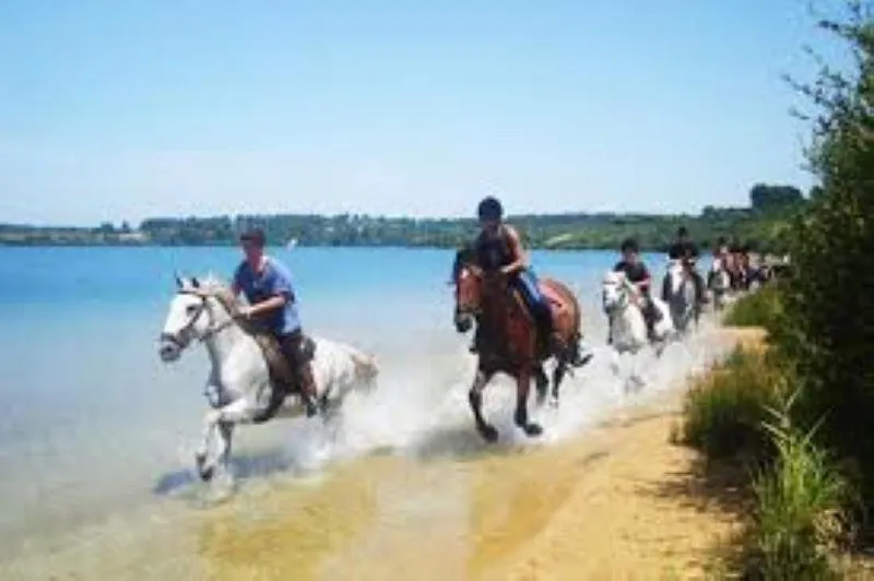 Horse-riding in maison d'hôtes labastide