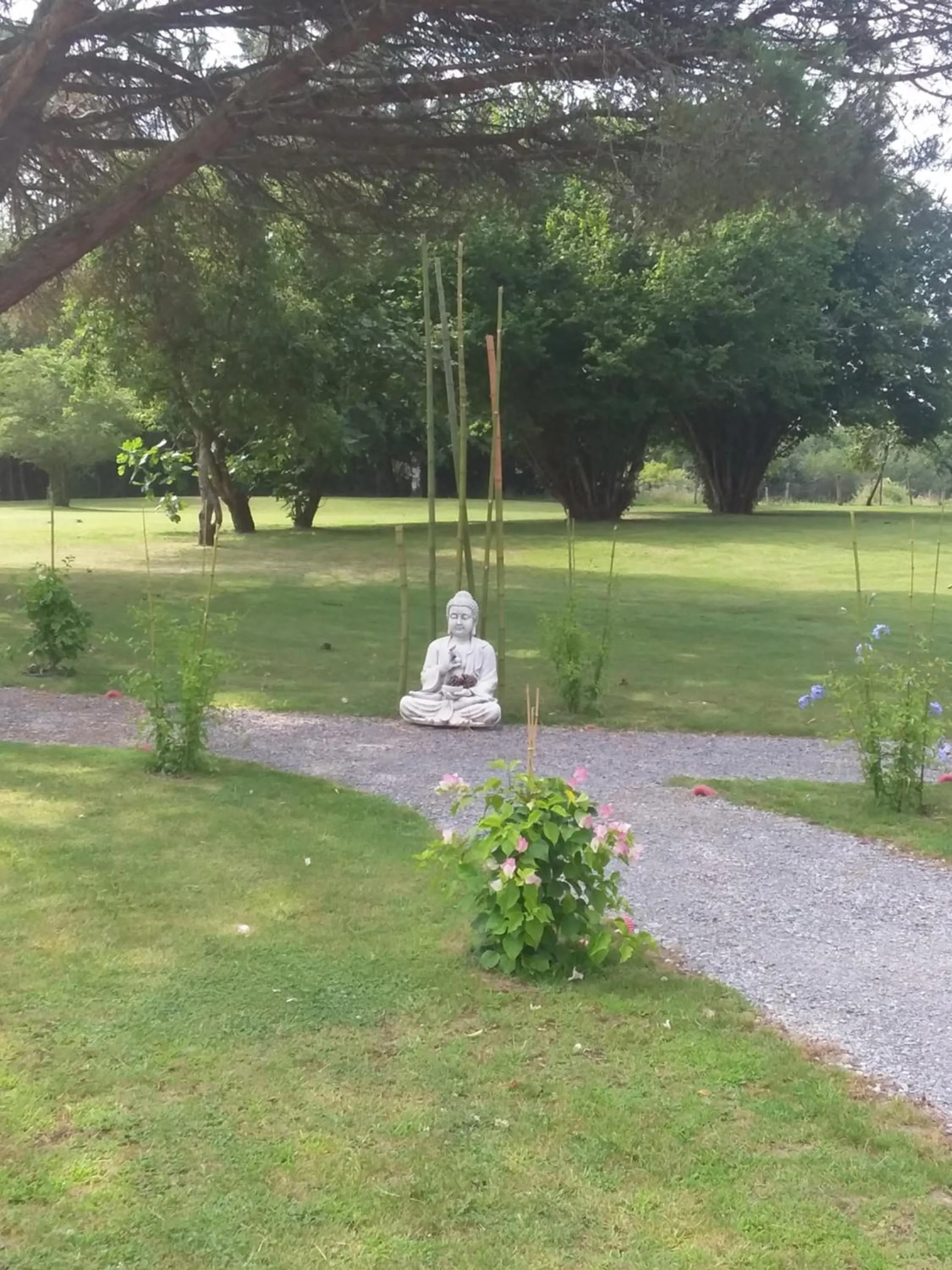 Garden in maison d'hôtes labastide