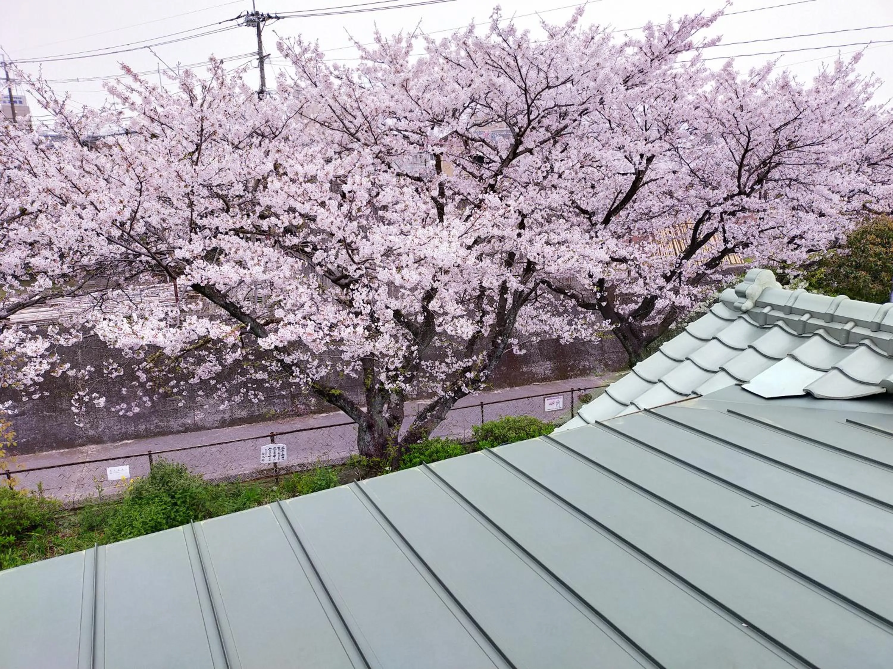 Guesthouse Sakichi
