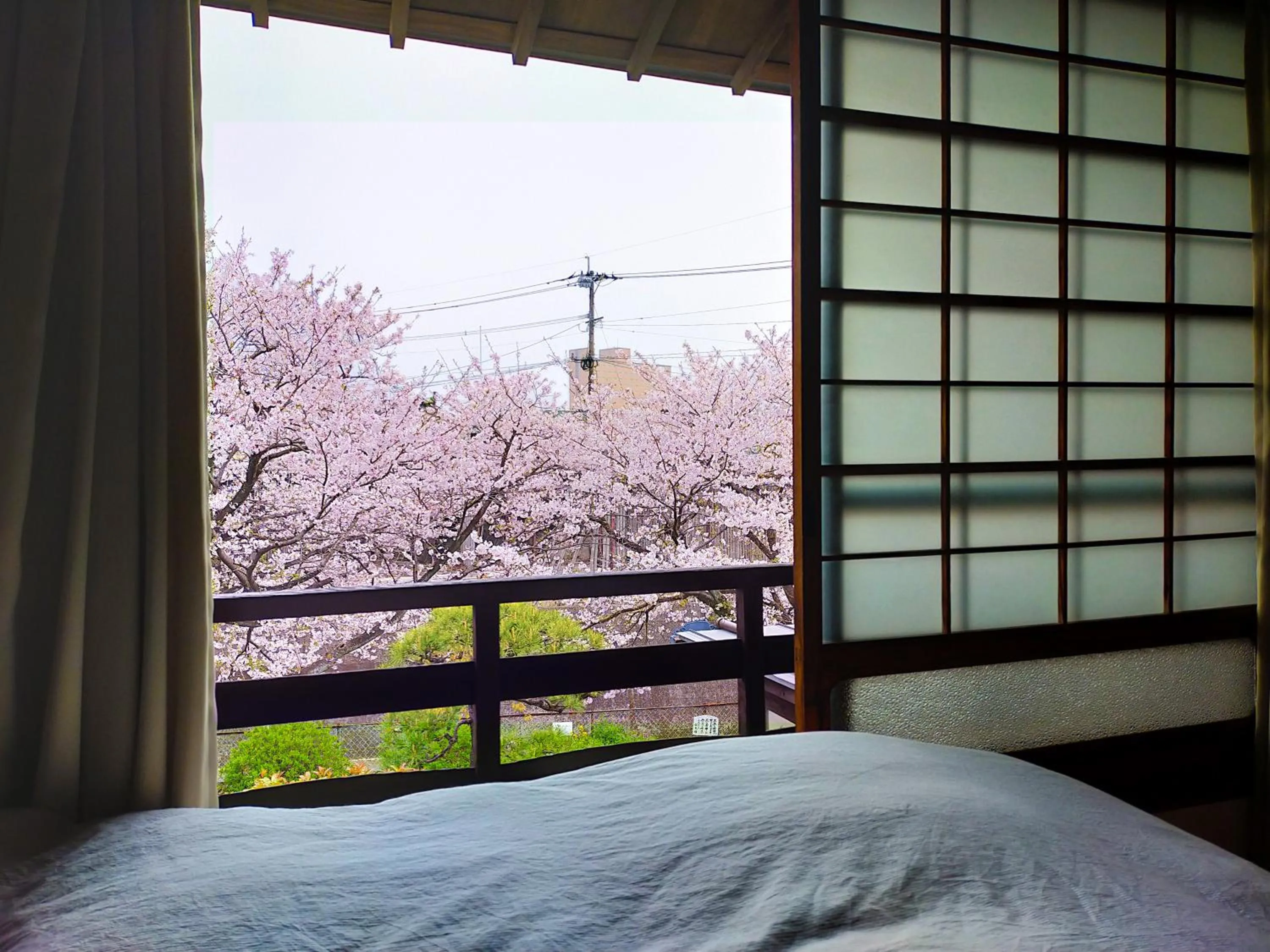 Economy Twin Room - single occupancy in Guesthouse Sakichi