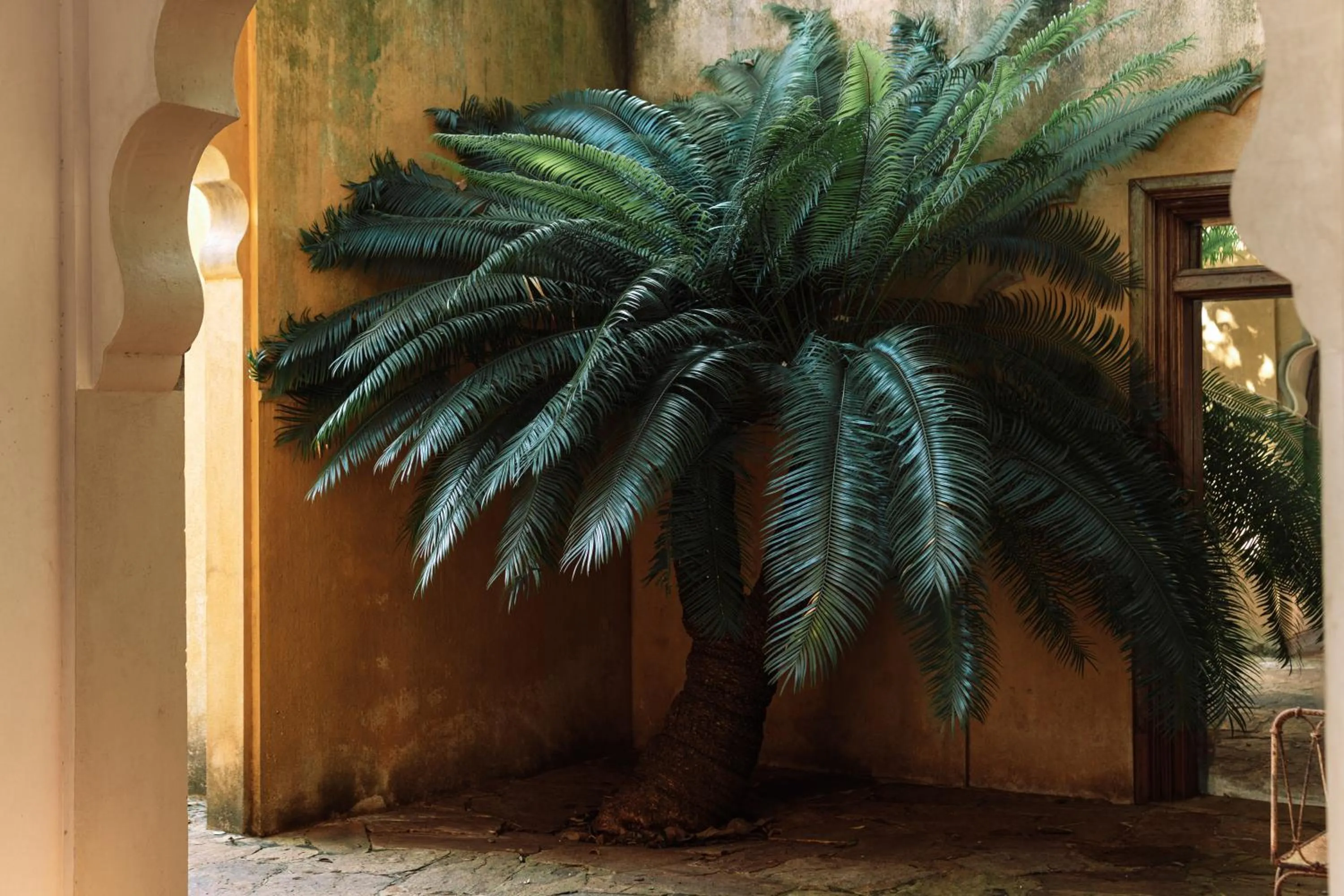 Property building in Malabar Hill