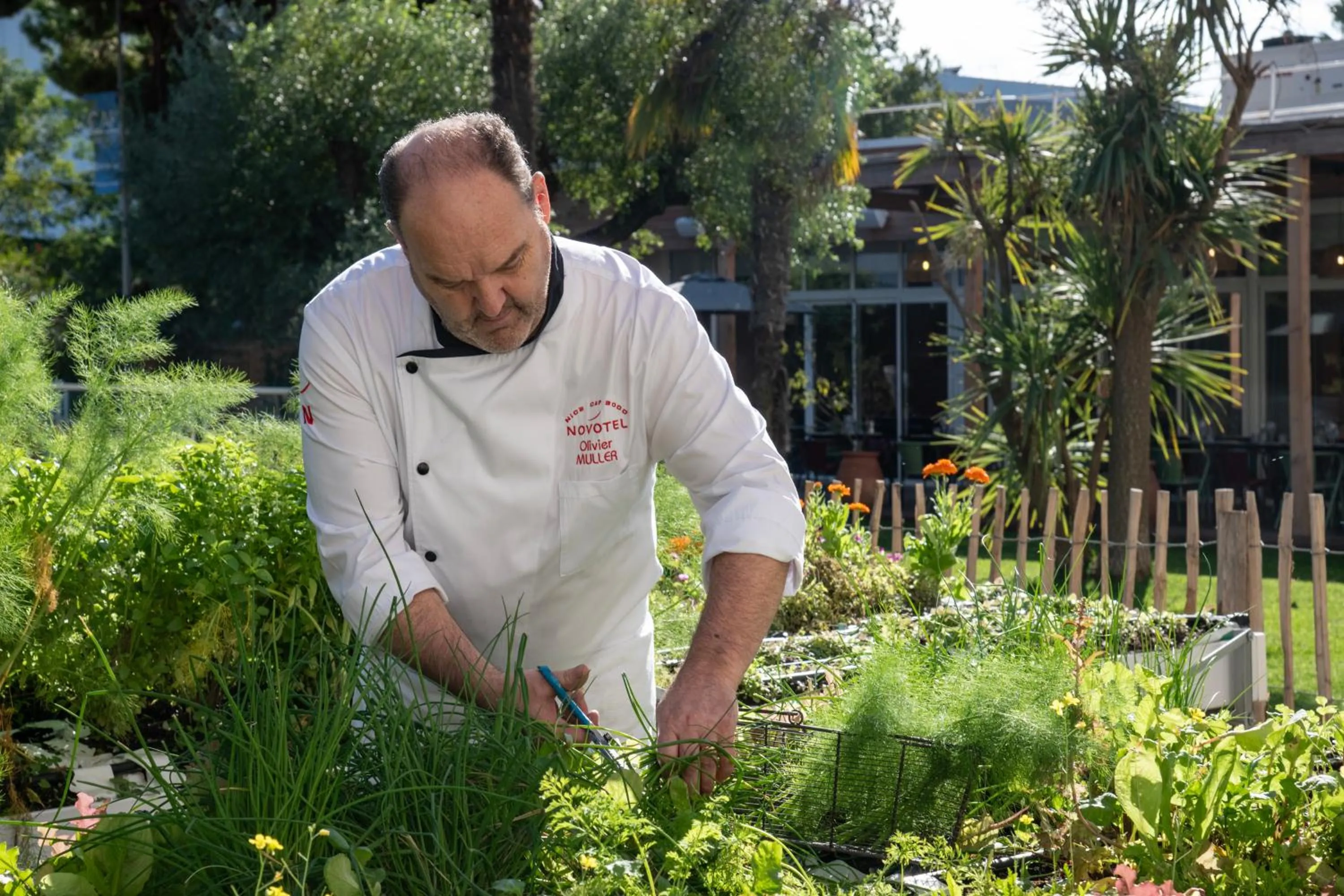 Garden in Novotel Nice Aéroport Cap 3000