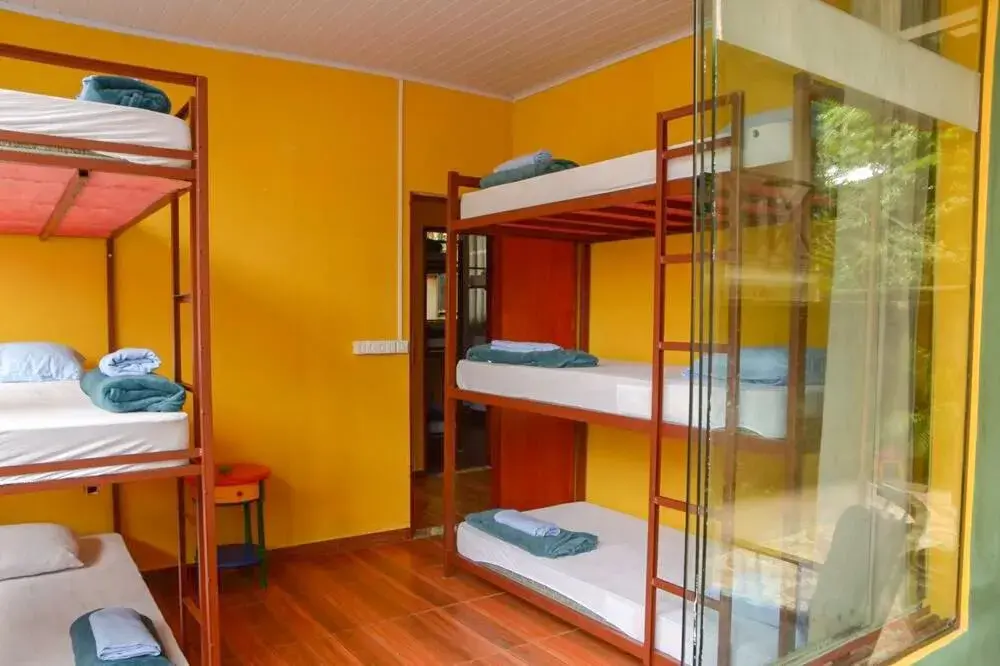 Hostel MPB Ilha Grande Hostel MPB Ilha Grande
