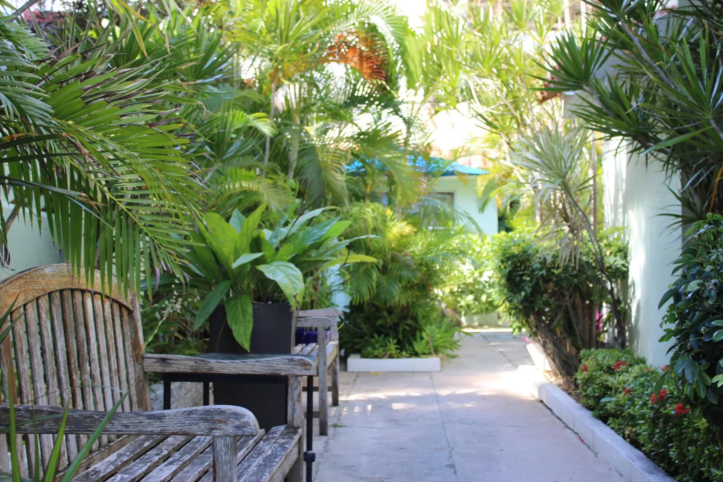Garden in Numero Uno Beach Apartments