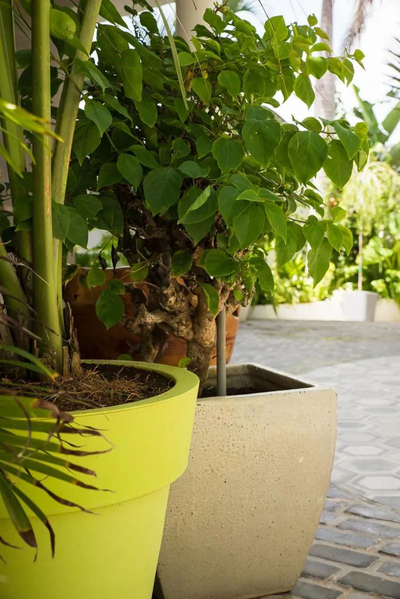 Patio in Numero Uno Beach Apartments