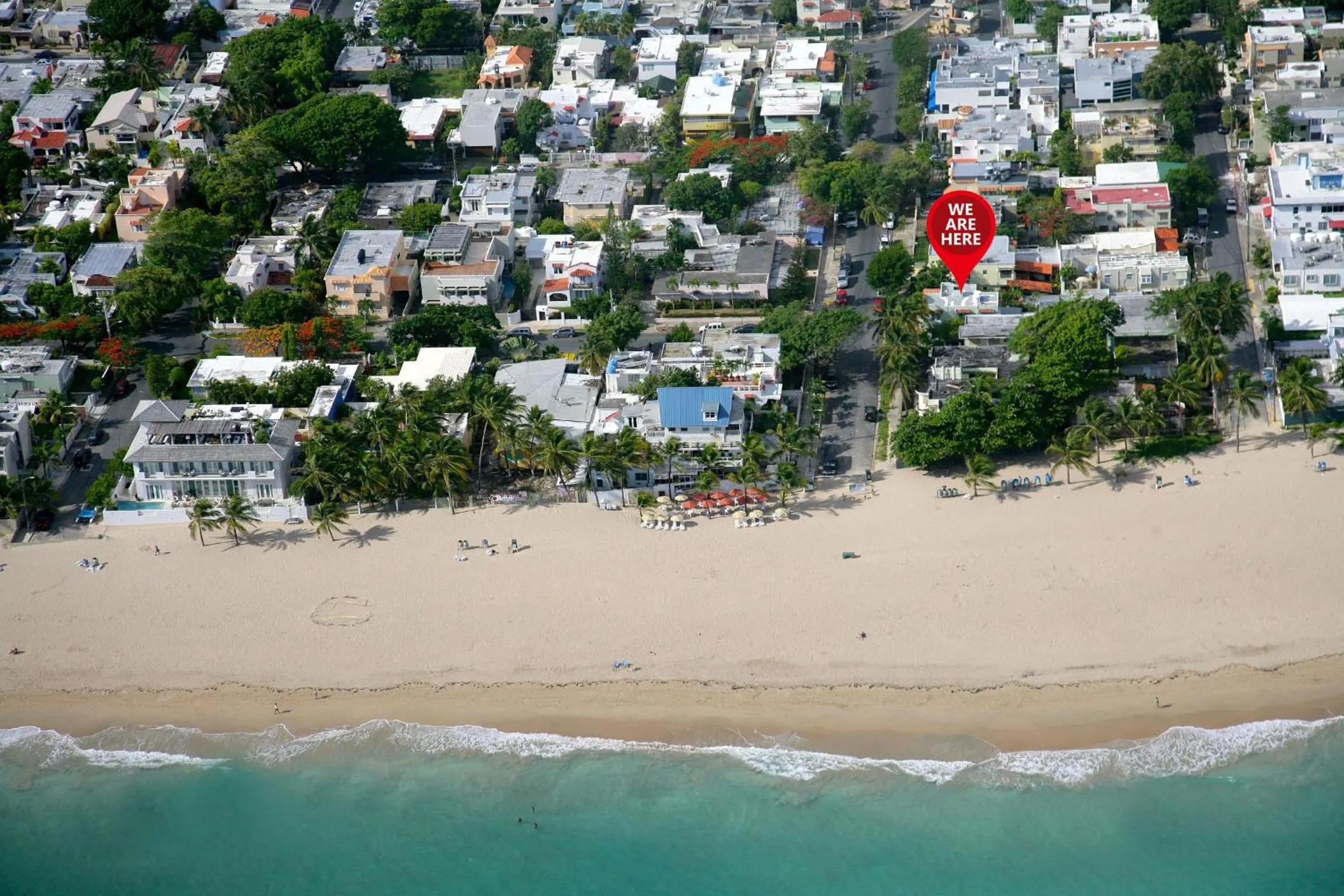 Neighbourhood in Numero Uno Beach Apartments