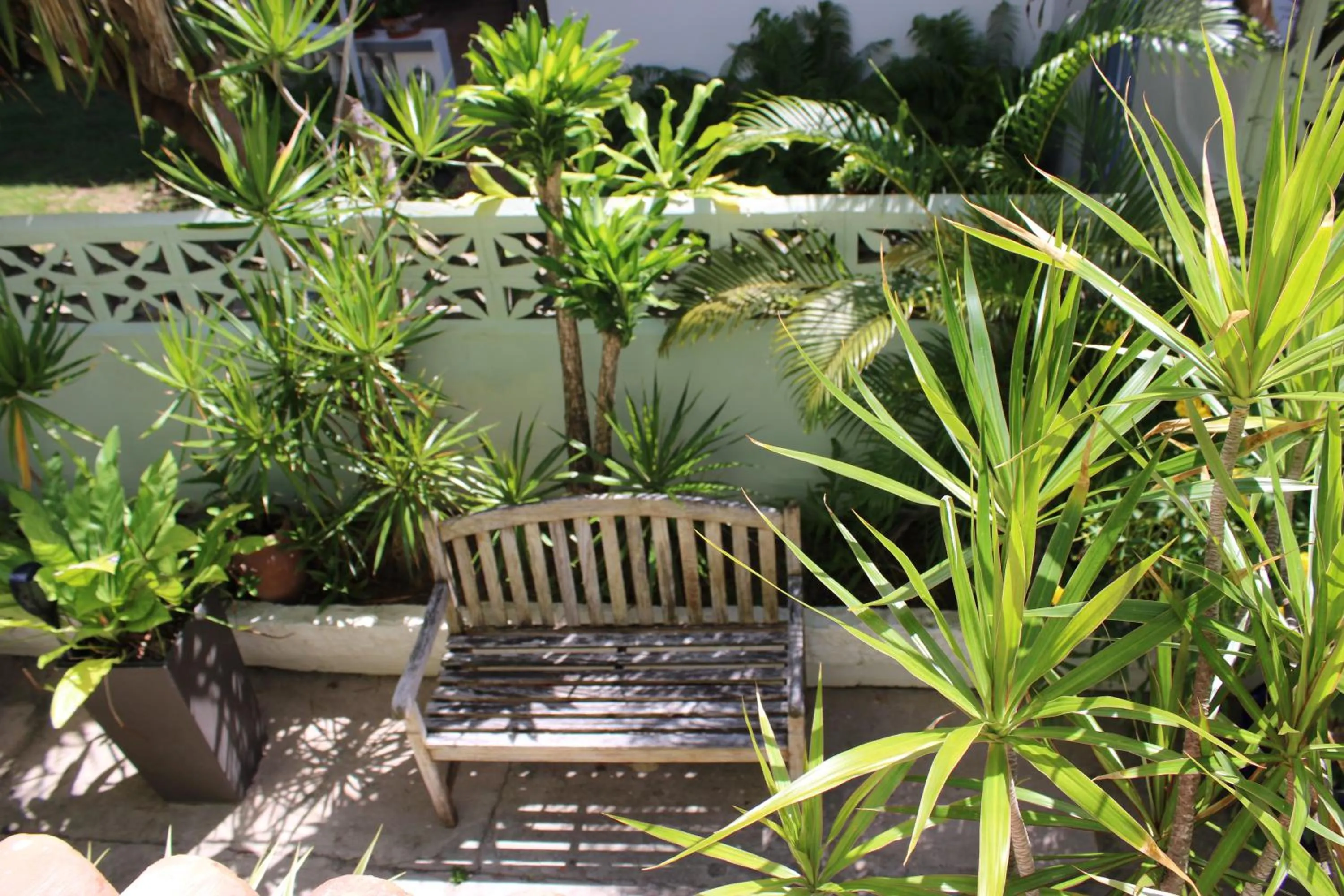 Garden in Numero Uno Beach Apartments