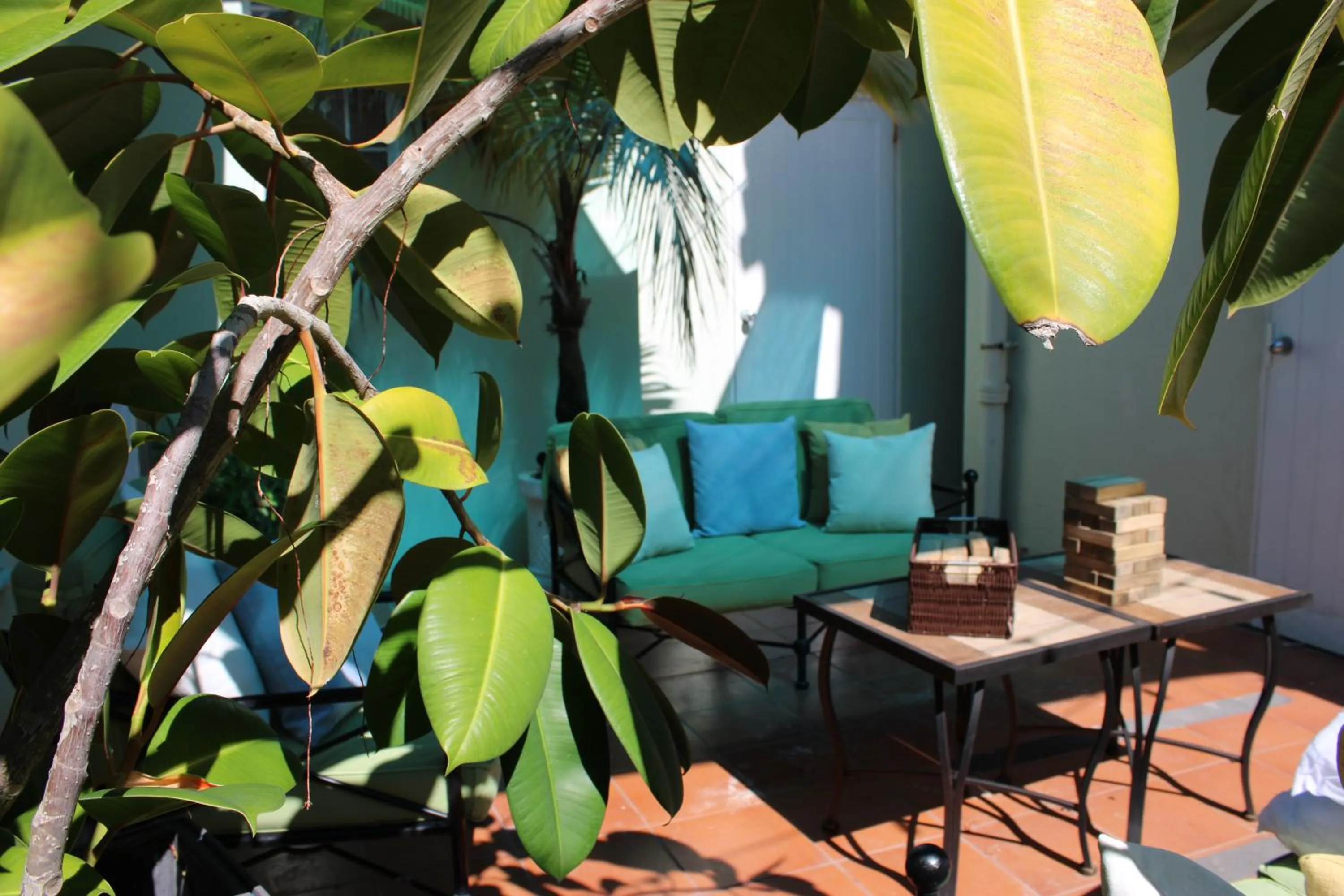 Garden in Numero Uno Beach Apartments