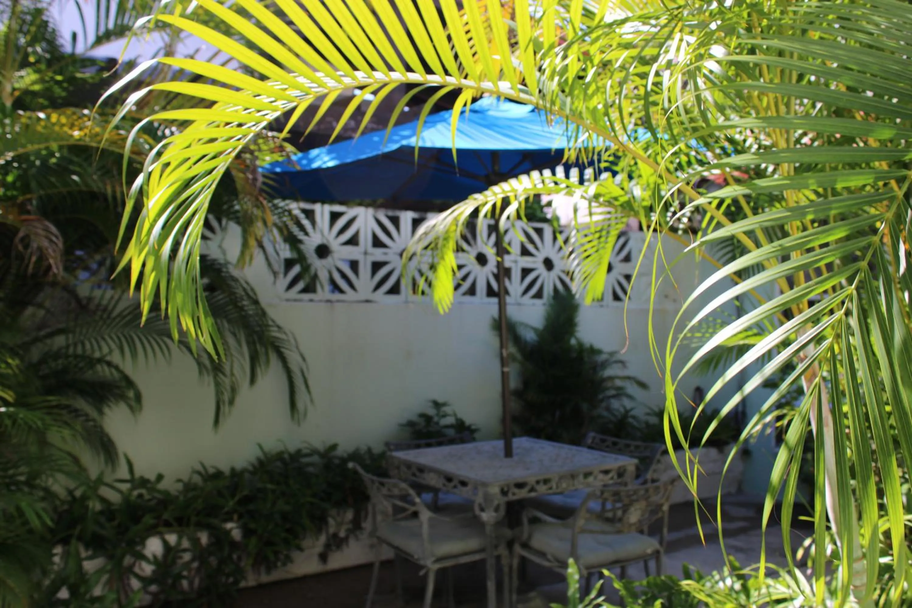 Garden in Numero Uno Beach Apartments