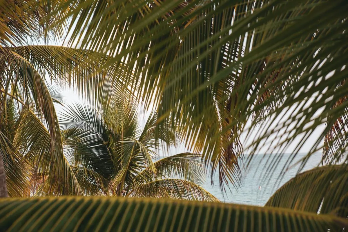 Sea view in Numero Uno Beach Apartments