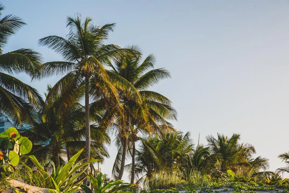 Sea view in Numero Uno Beach Apartments