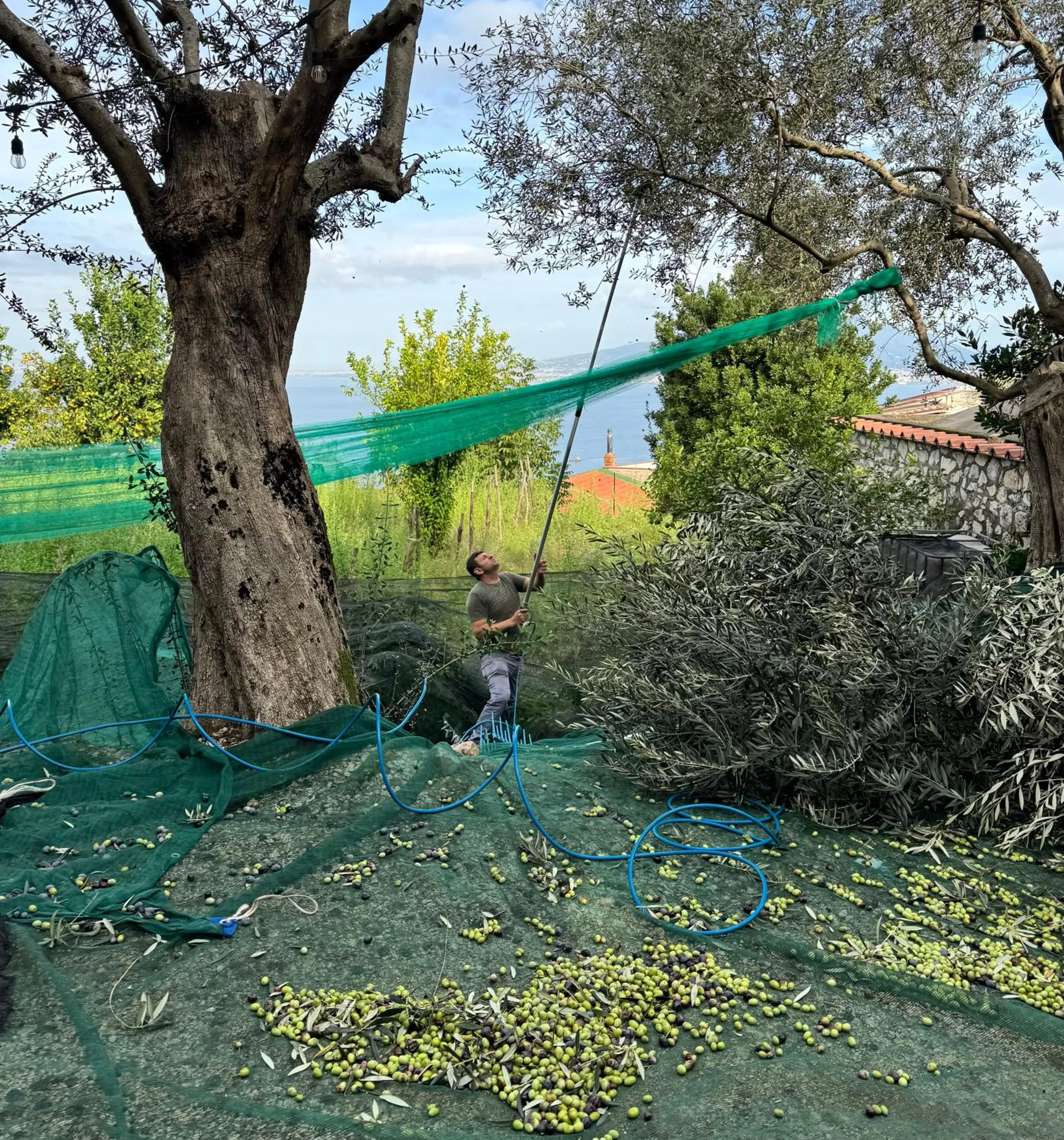 ANTICA TENUTA CELOTTO