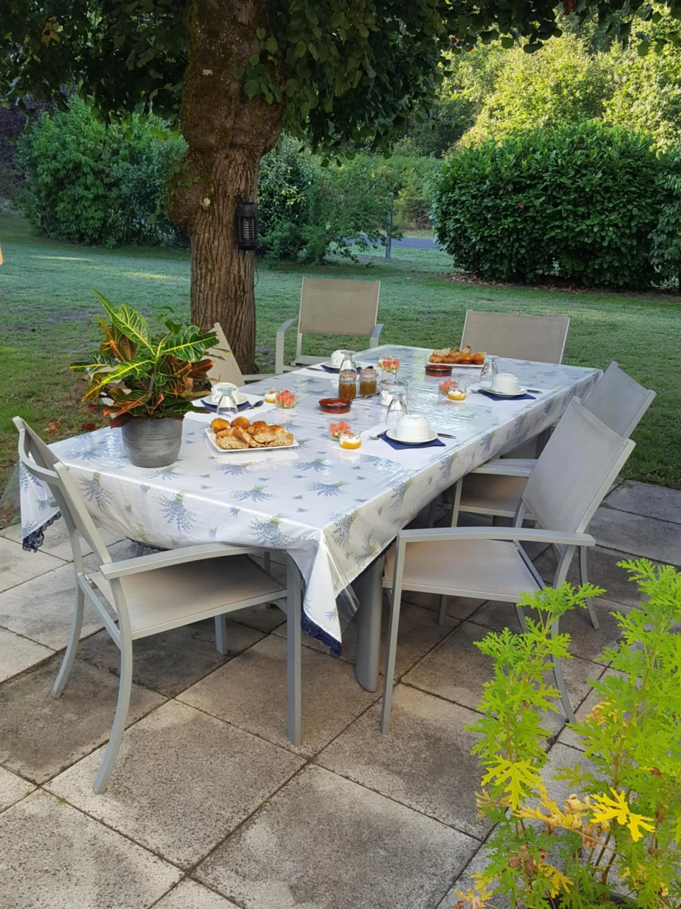 Food in Chez Alexandra