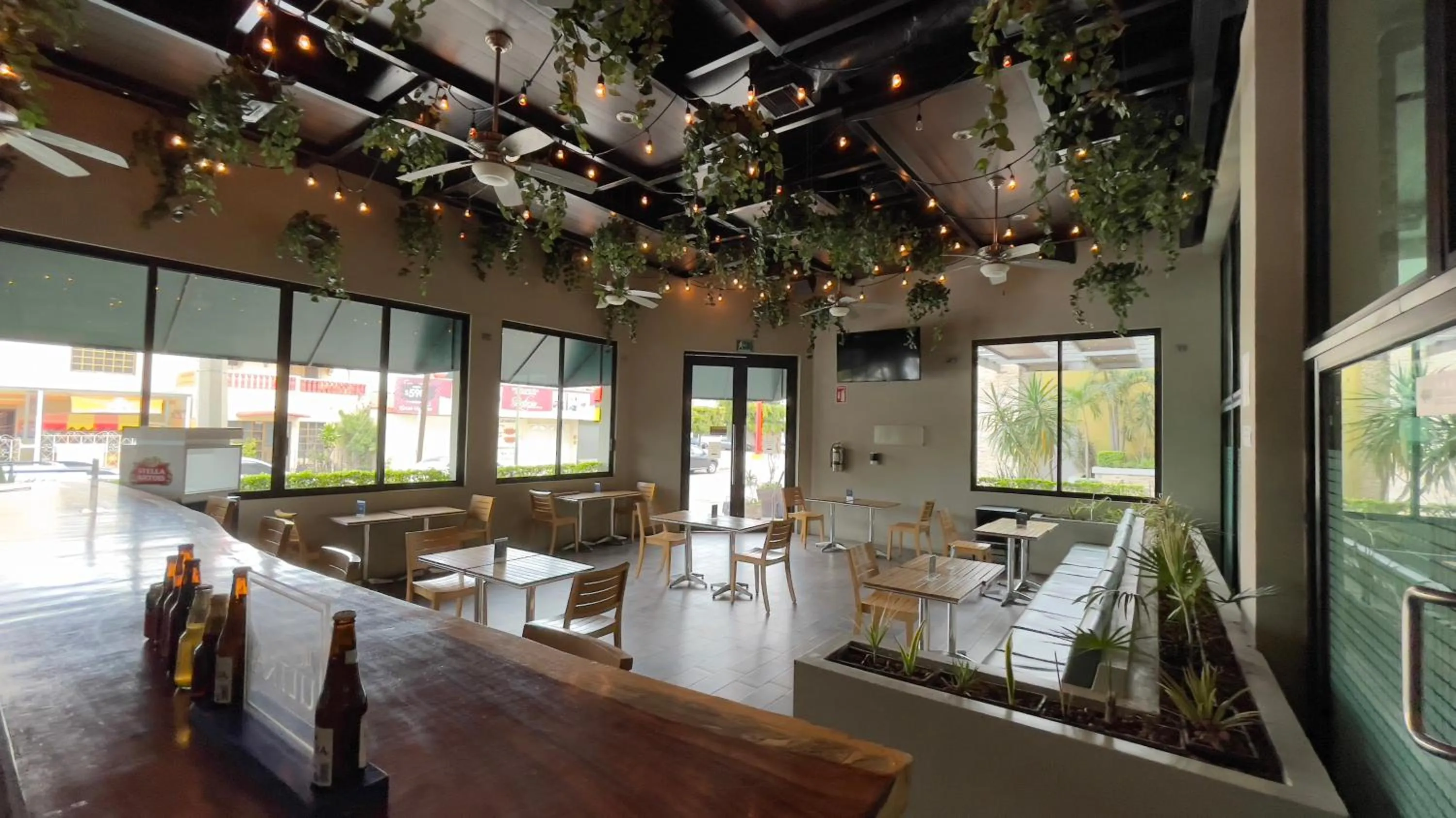 Lounge or bar in Hotel El Sembrador