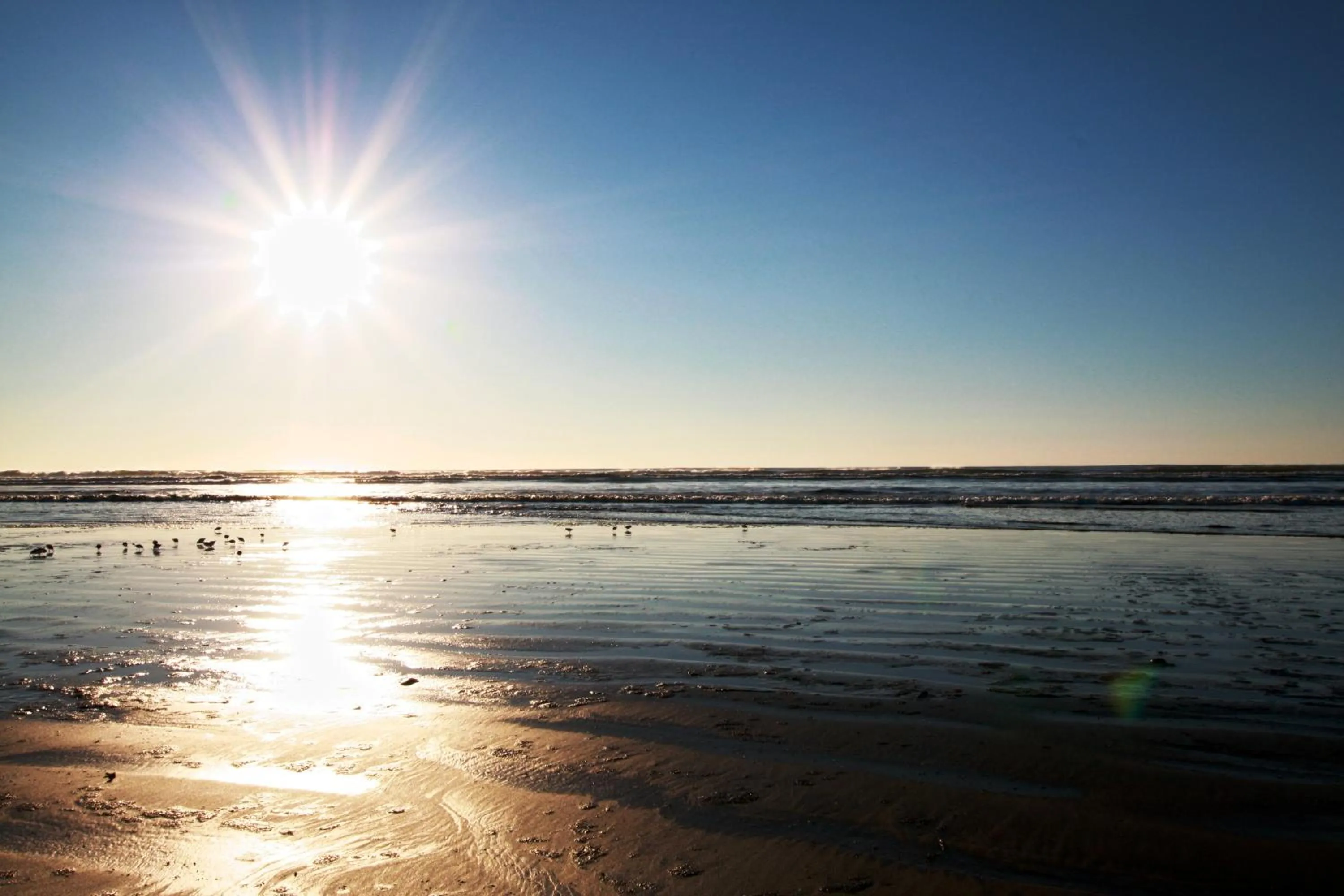 Beach in Beachwood Condos & Resort