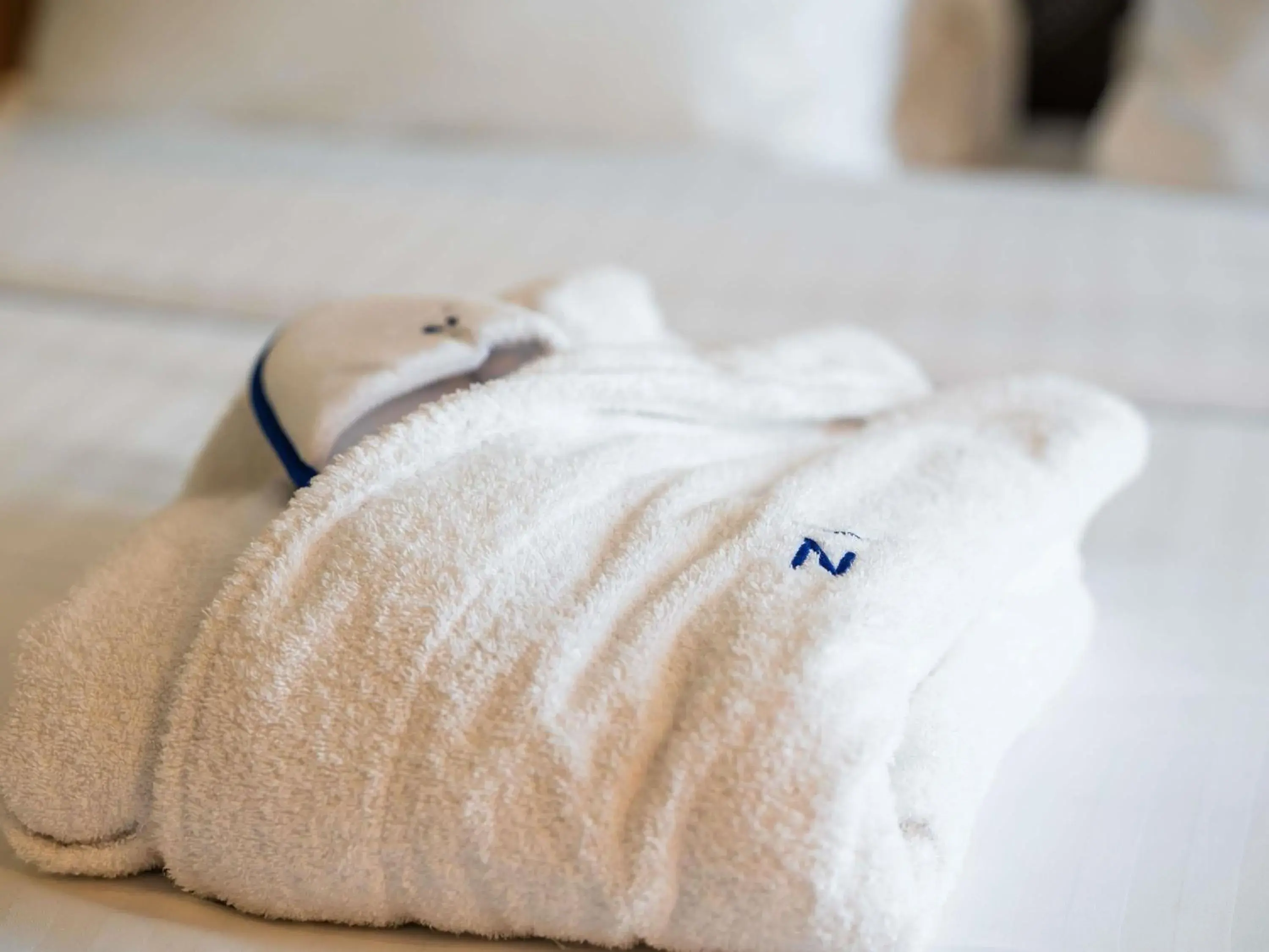 Executive Double Room with Queen Size Bed and Terrace in Novotel Paris Gare De Lyon Executive Double Room with Queen Size Bed and Terrace in Novotel Paris Gare De Lyon