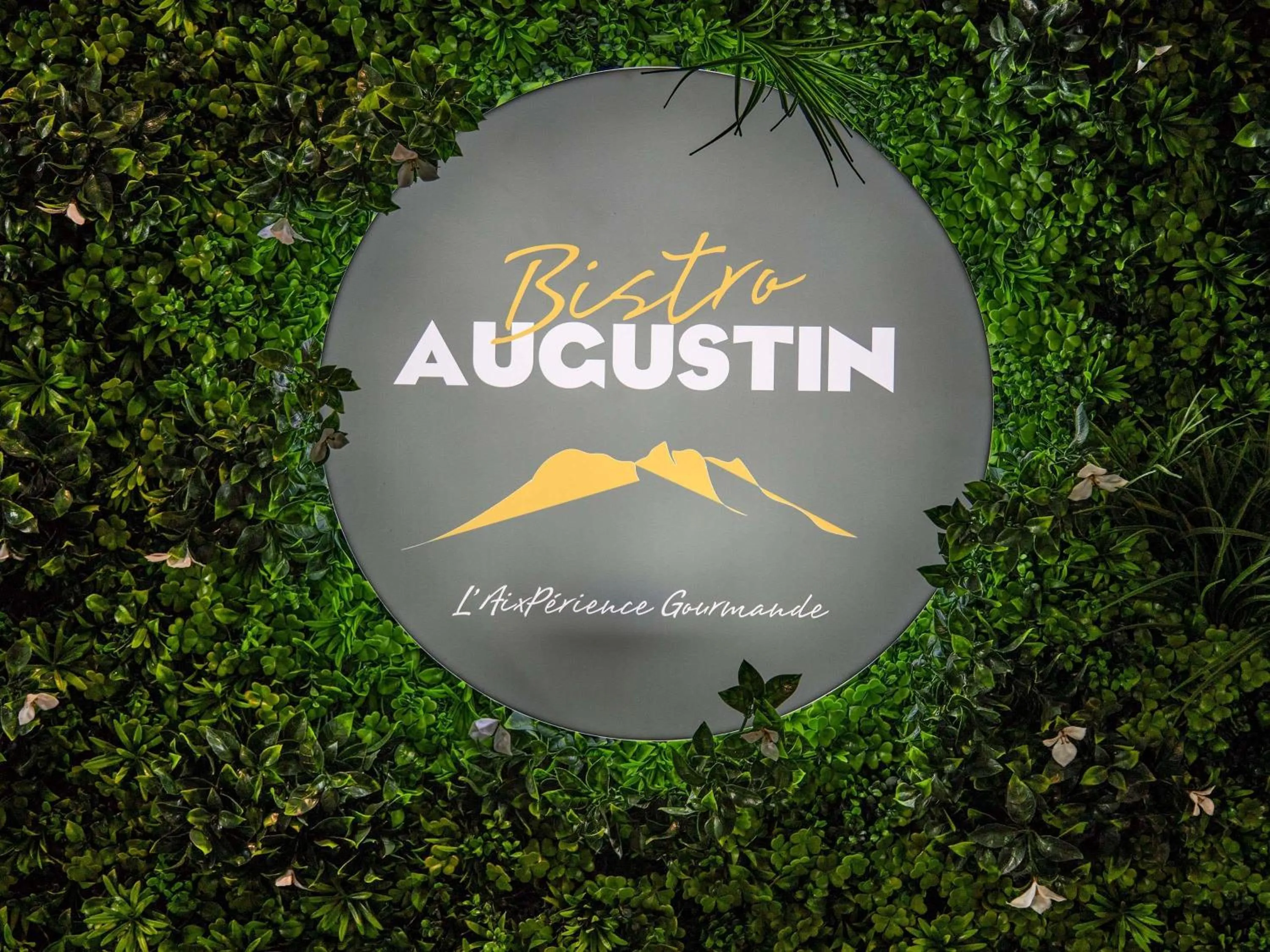 Meeting/conference room in Mercure Aix en Provence Beaumanoir