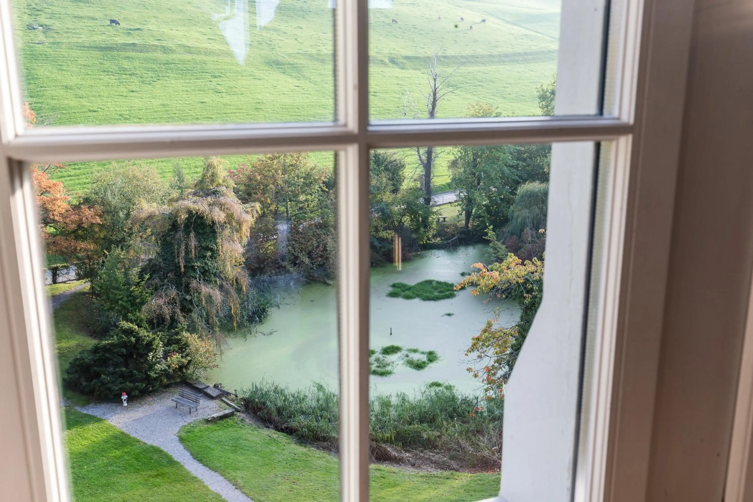 Garden view in Schloss Wartensee