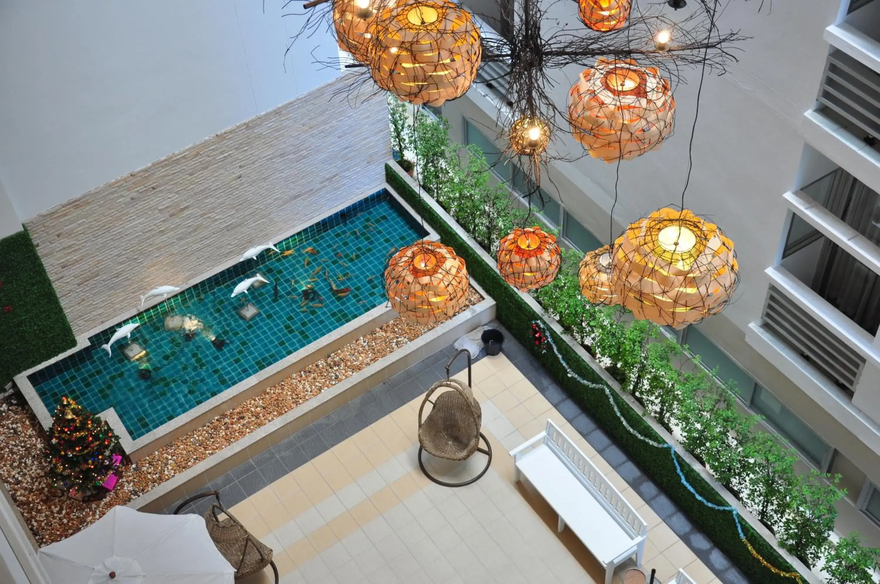 Bird's eye view in Flipper House Hotel - SHA Extra Plus Bird's eye view in Flipper House Hotel - SHA Extra Plus