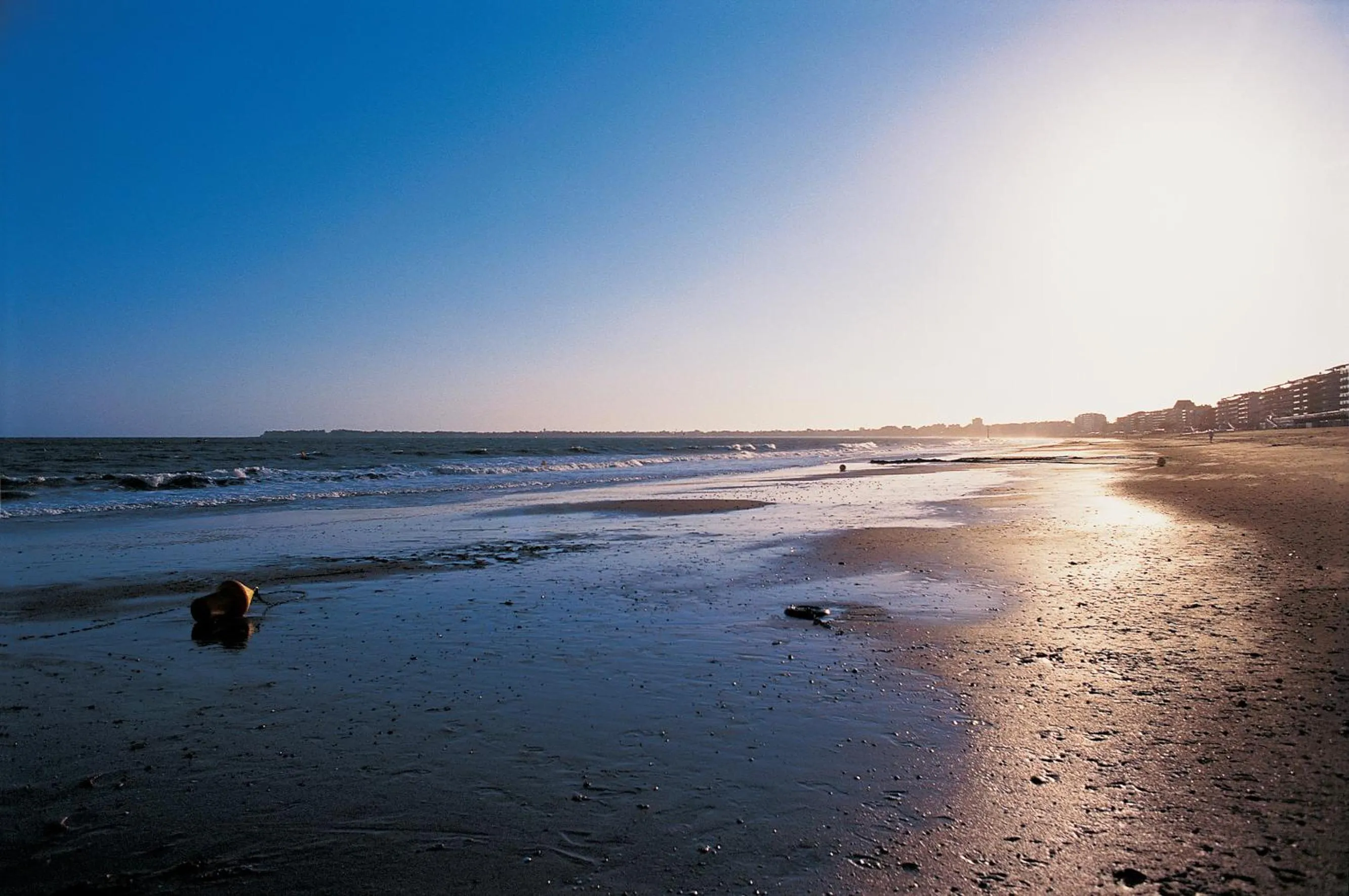 Natural landscape in Hôtel Château des Tourelles - Relais Thalasso & Spa