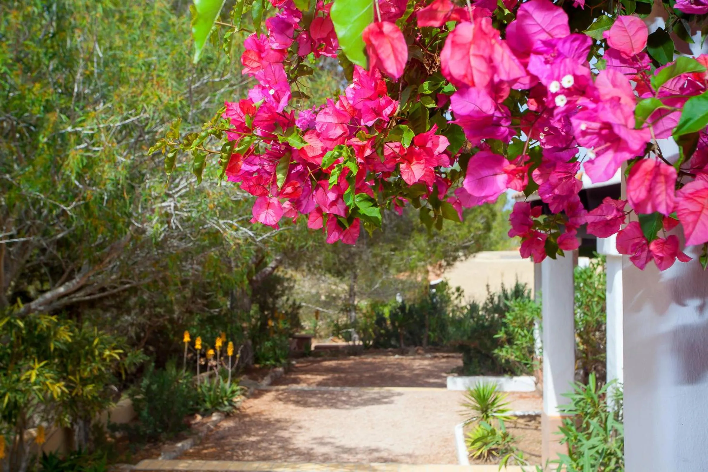Spring in Bungalows Sa Sargantana