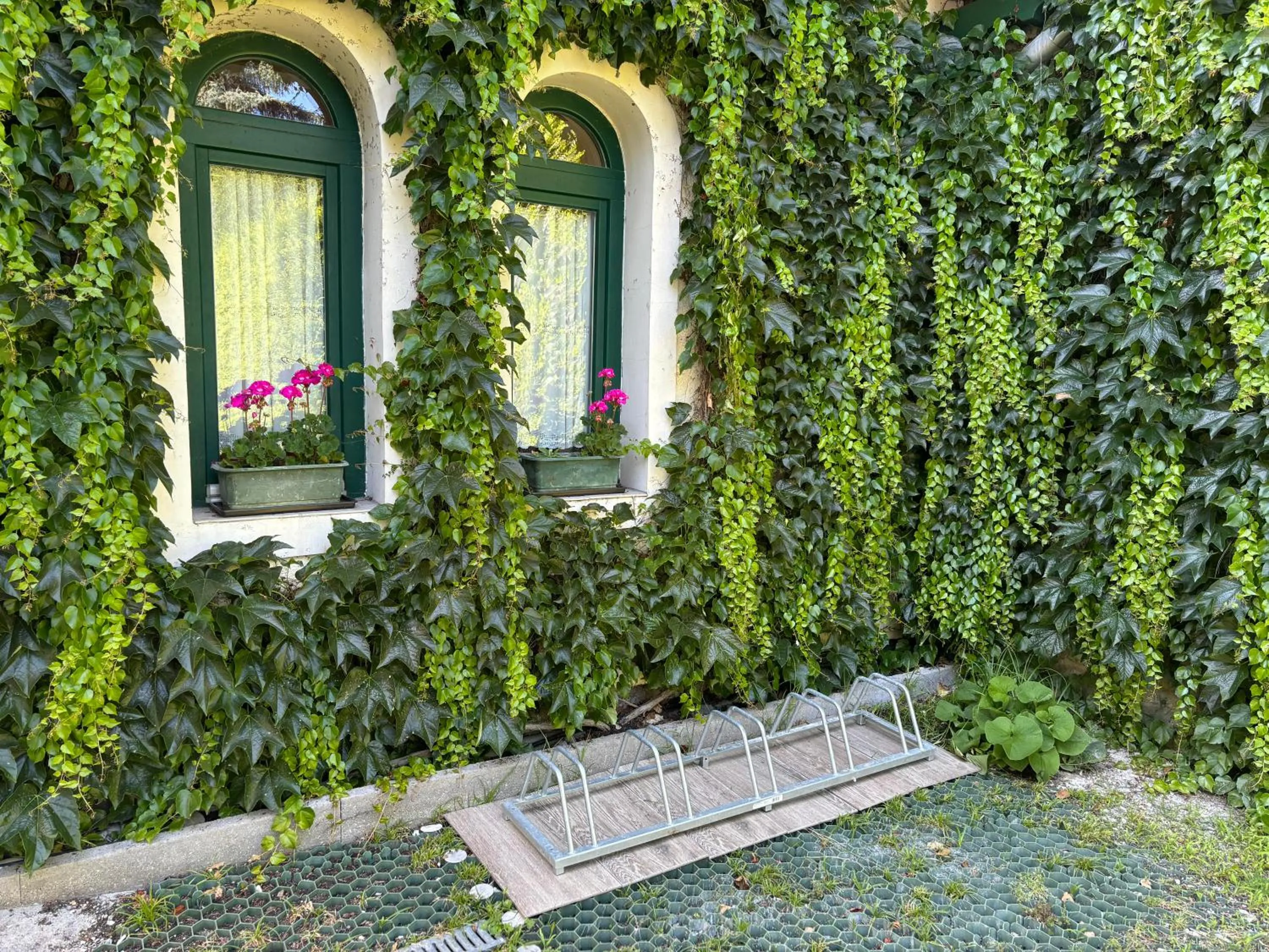 Garden in Szalay Villa