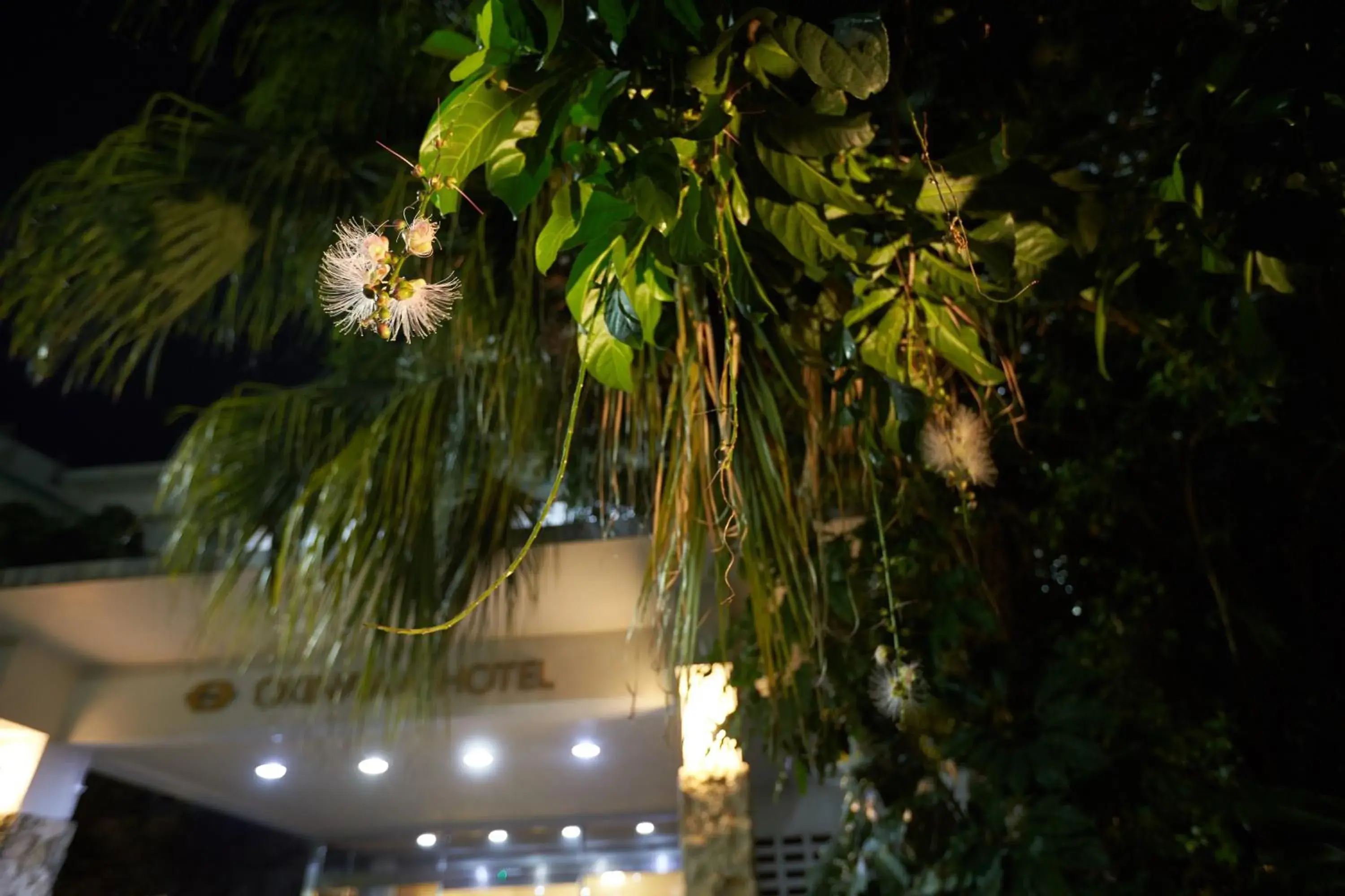 Facade/entrance in Okinawa Hotel Facade/entrance in Okinawa Hotel