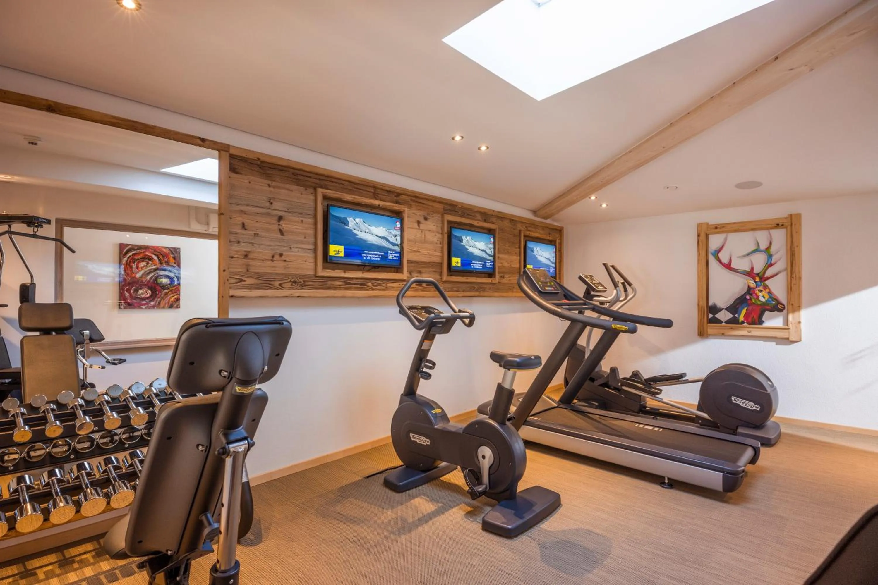 Fitness centre/facilities in Hotel Alpina