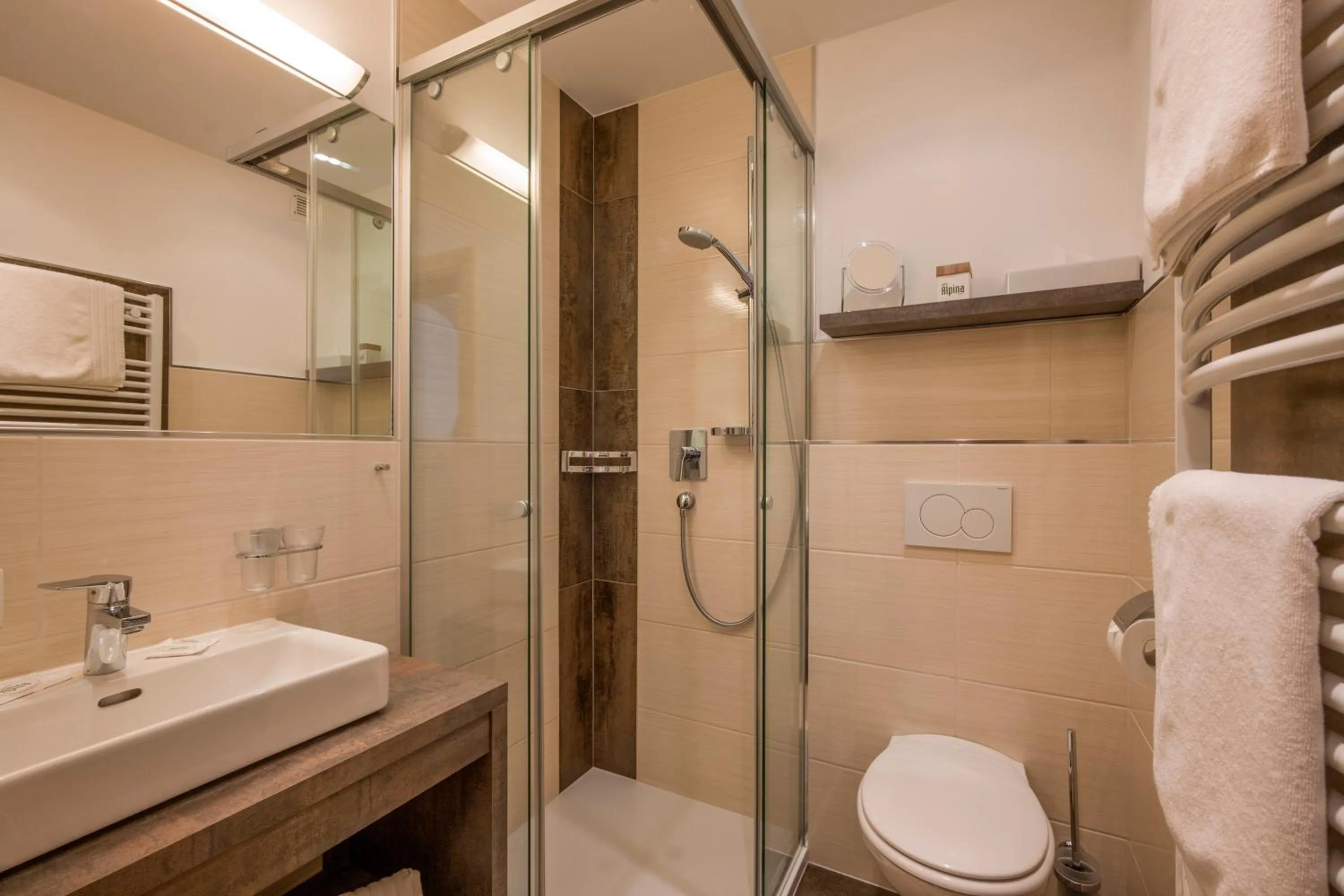 Bathroom in Hotel Alpina