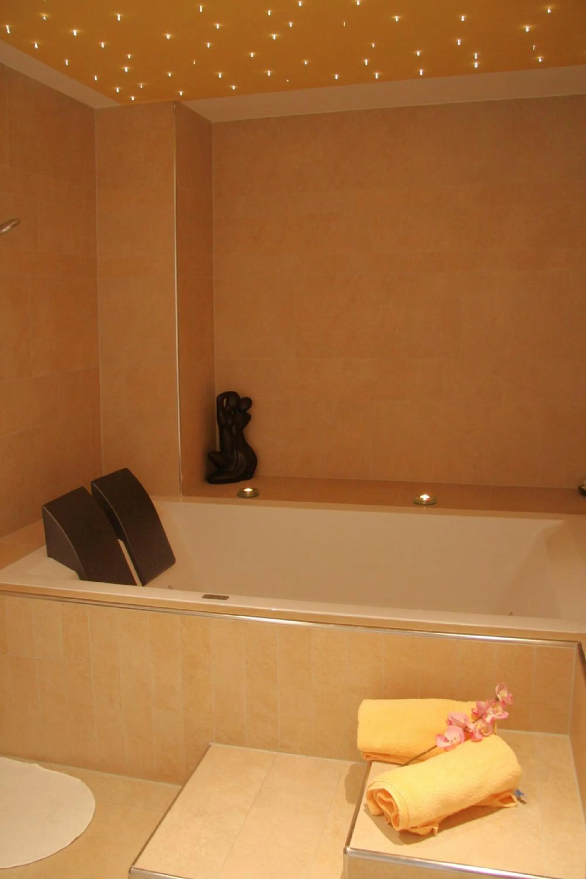 Spa and wellness centre/facilities in Hotel Alpina