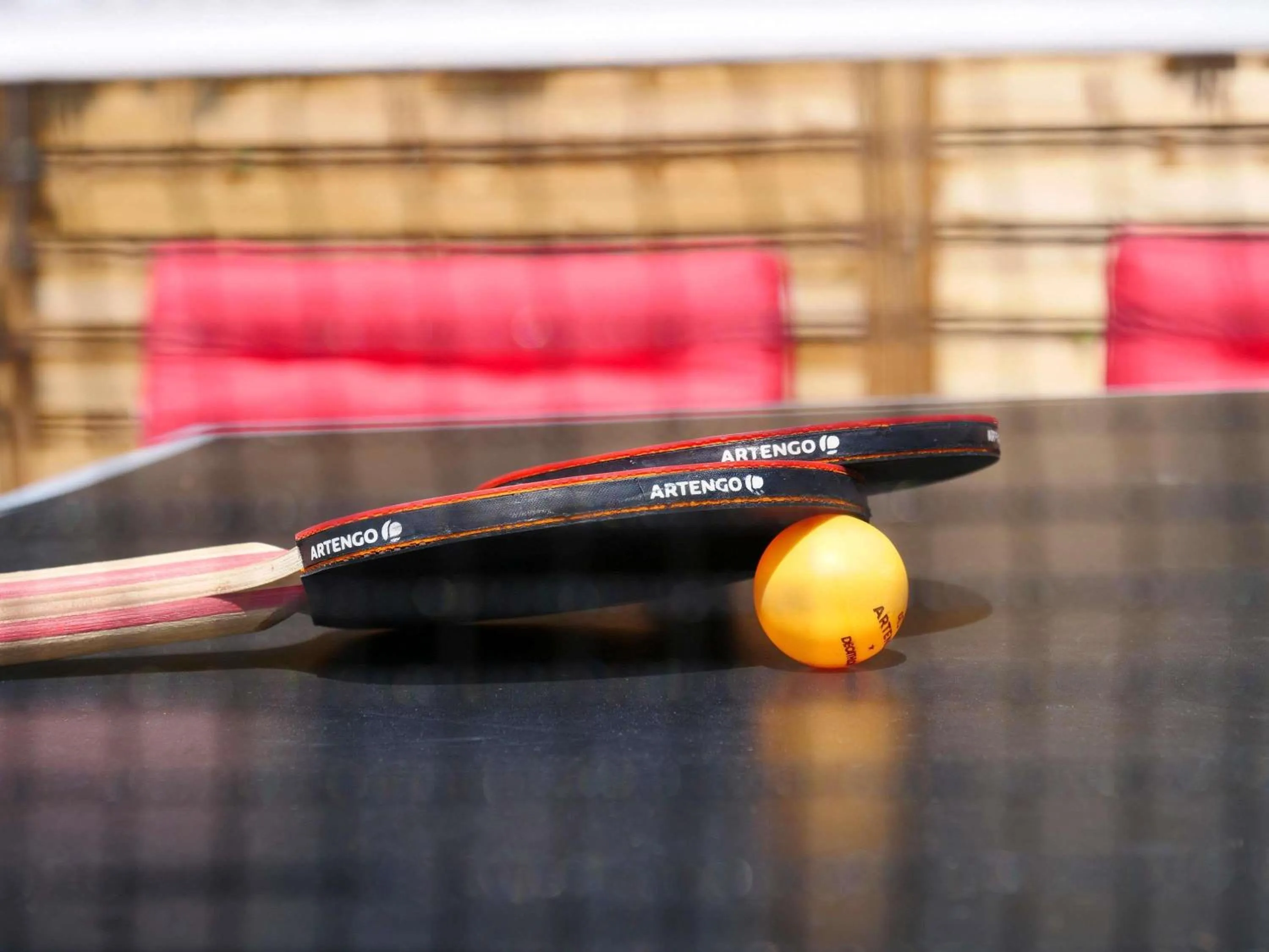 Other in Mercure Annemasse Porte De Genève