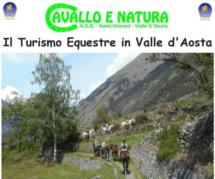 Horse-riding in Sunshine-bnb