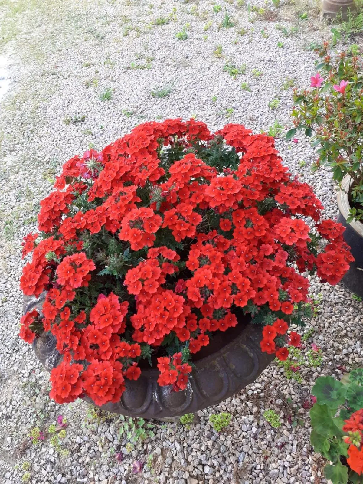 Chateau des Poccards