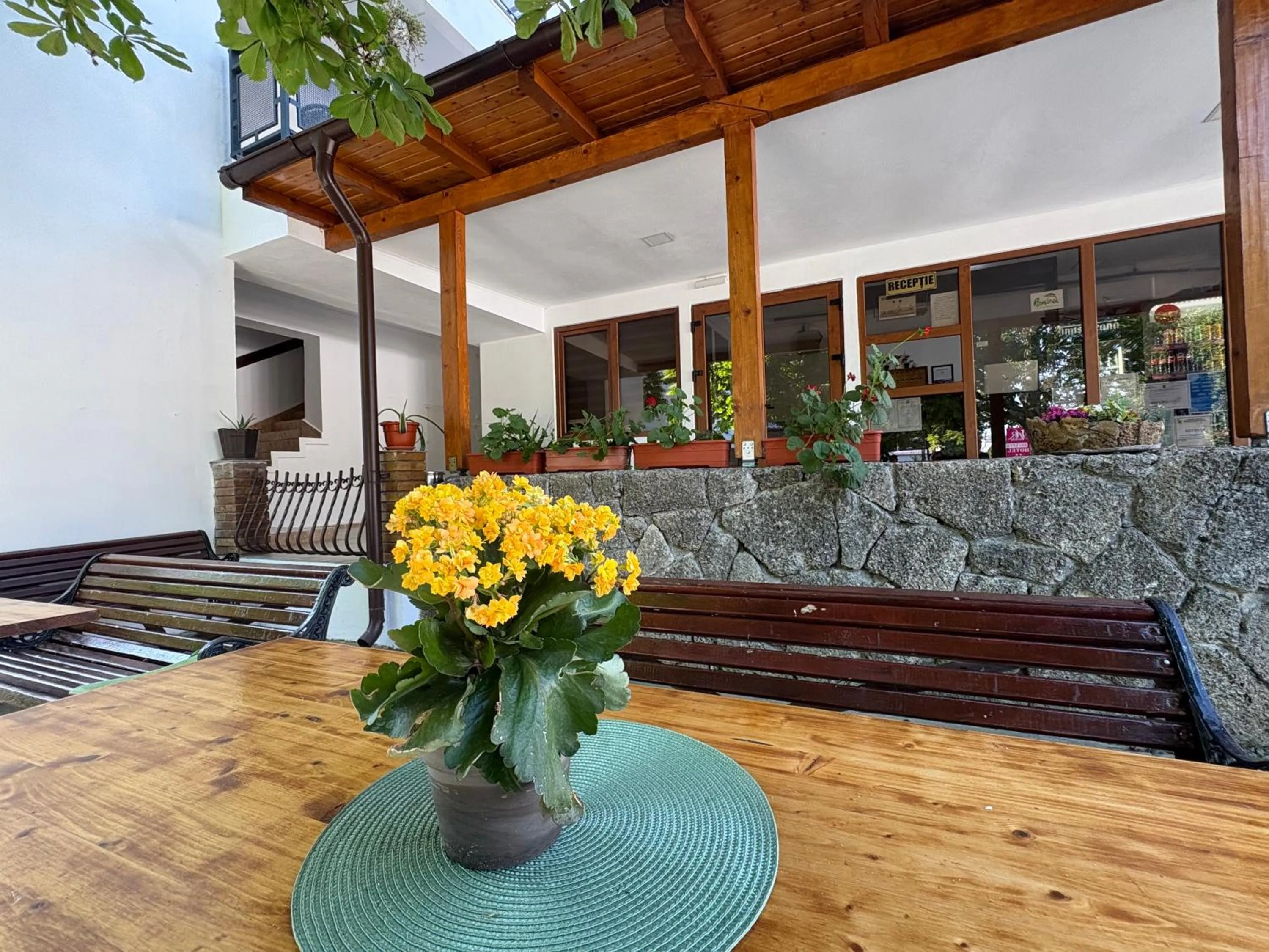 Hotel Camelia