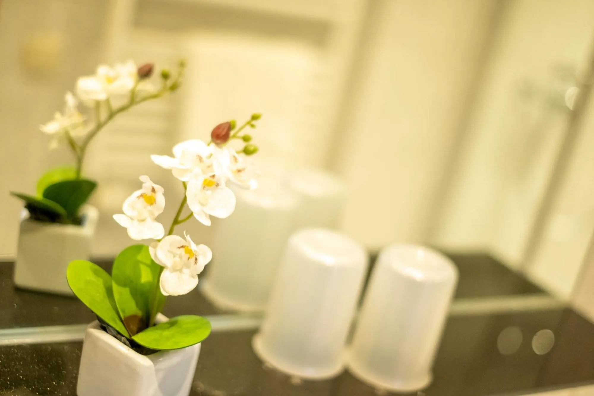 Shower in Aparthotel Werdenfels